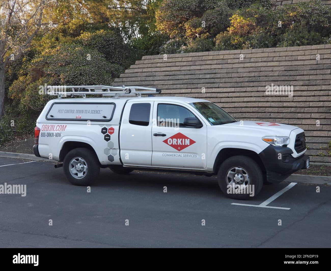Profile view of an Orkin pest-control truck parallel parked next to a brick retaining wall on Risa Road in Lafayette, California, February 24, 2021. () Stock Photo
