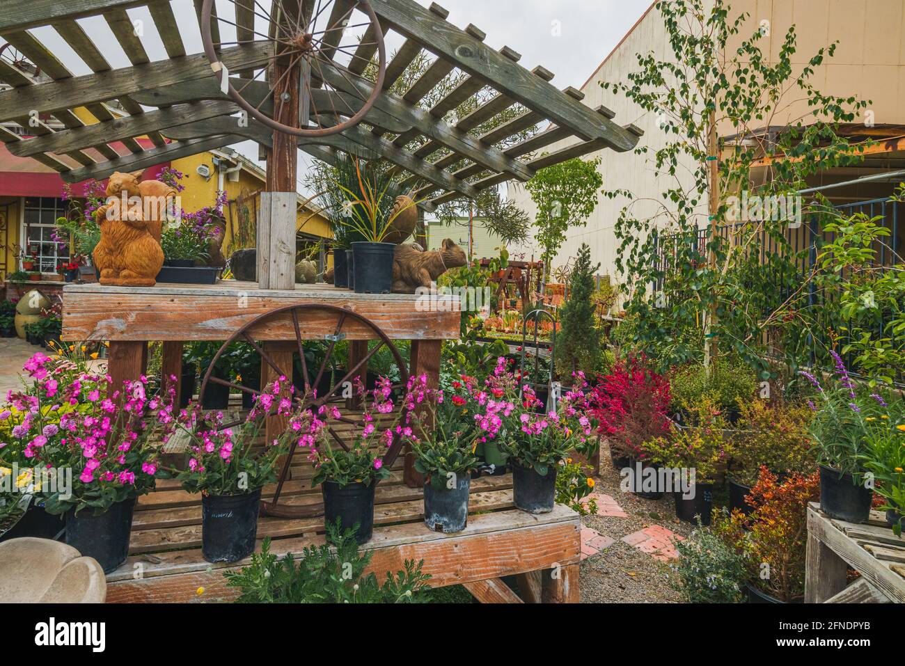 Orcutt, Santa Barbara County, California, May 15, 2021. Different types