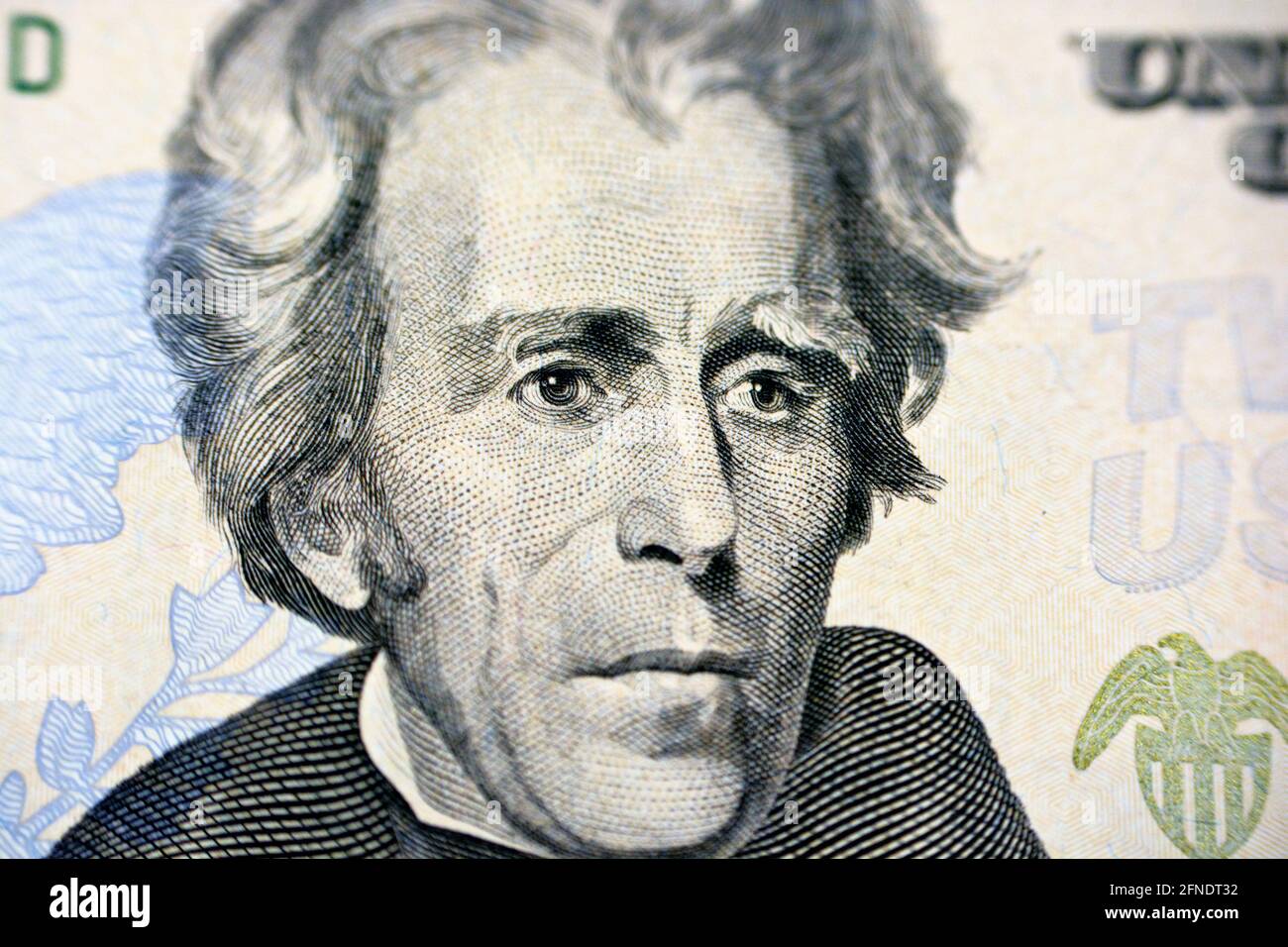 Andrew Jackson portrait on the banknote of 20 dollars, twenty American dollars background, selective focus, united states dollars banknote Stock Photo