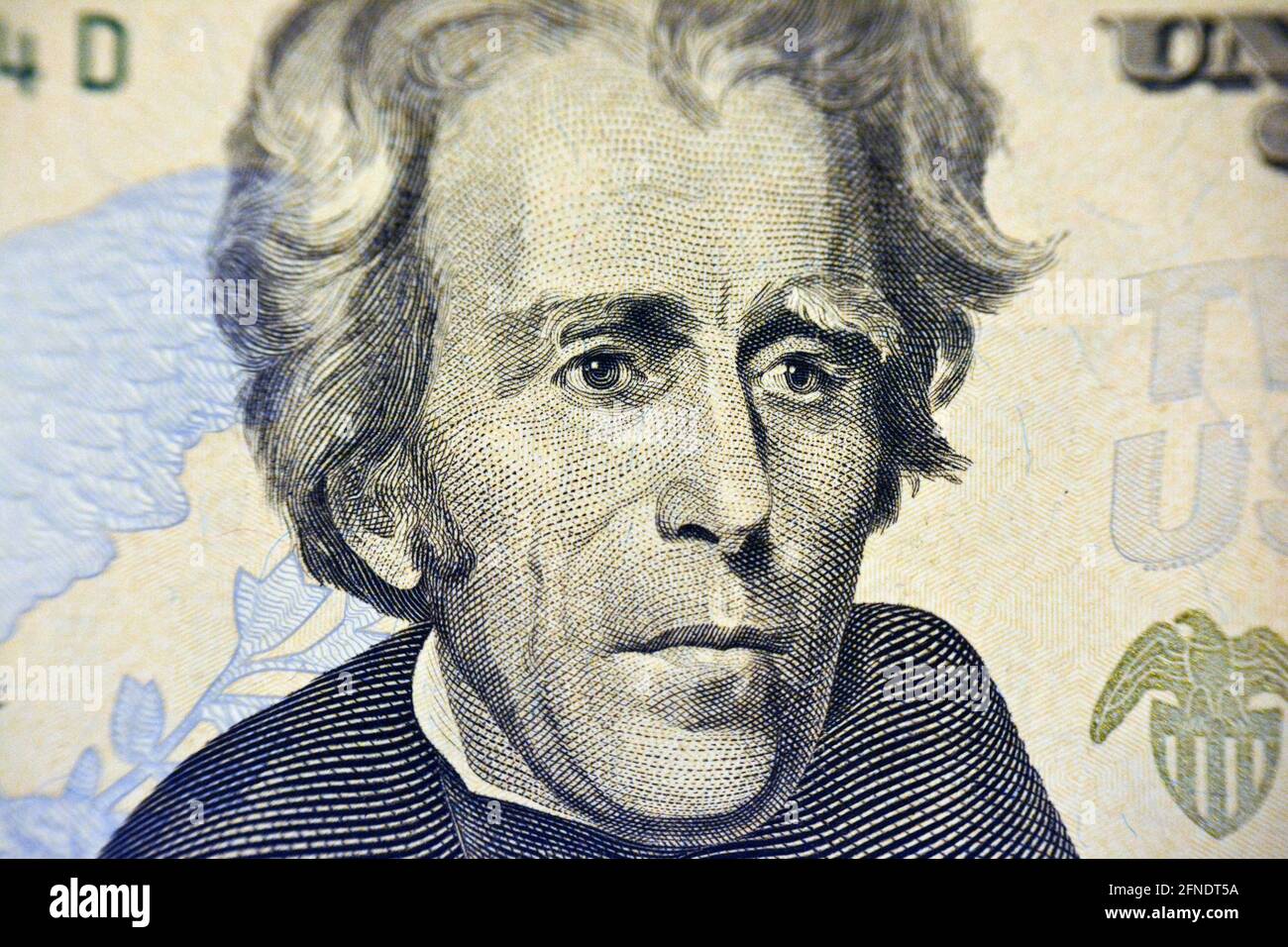 Andrew Jackson portrait on the banknote of 20 dollars, twenty American dollars background, selective focus, united states dollars banknote Stock Photo