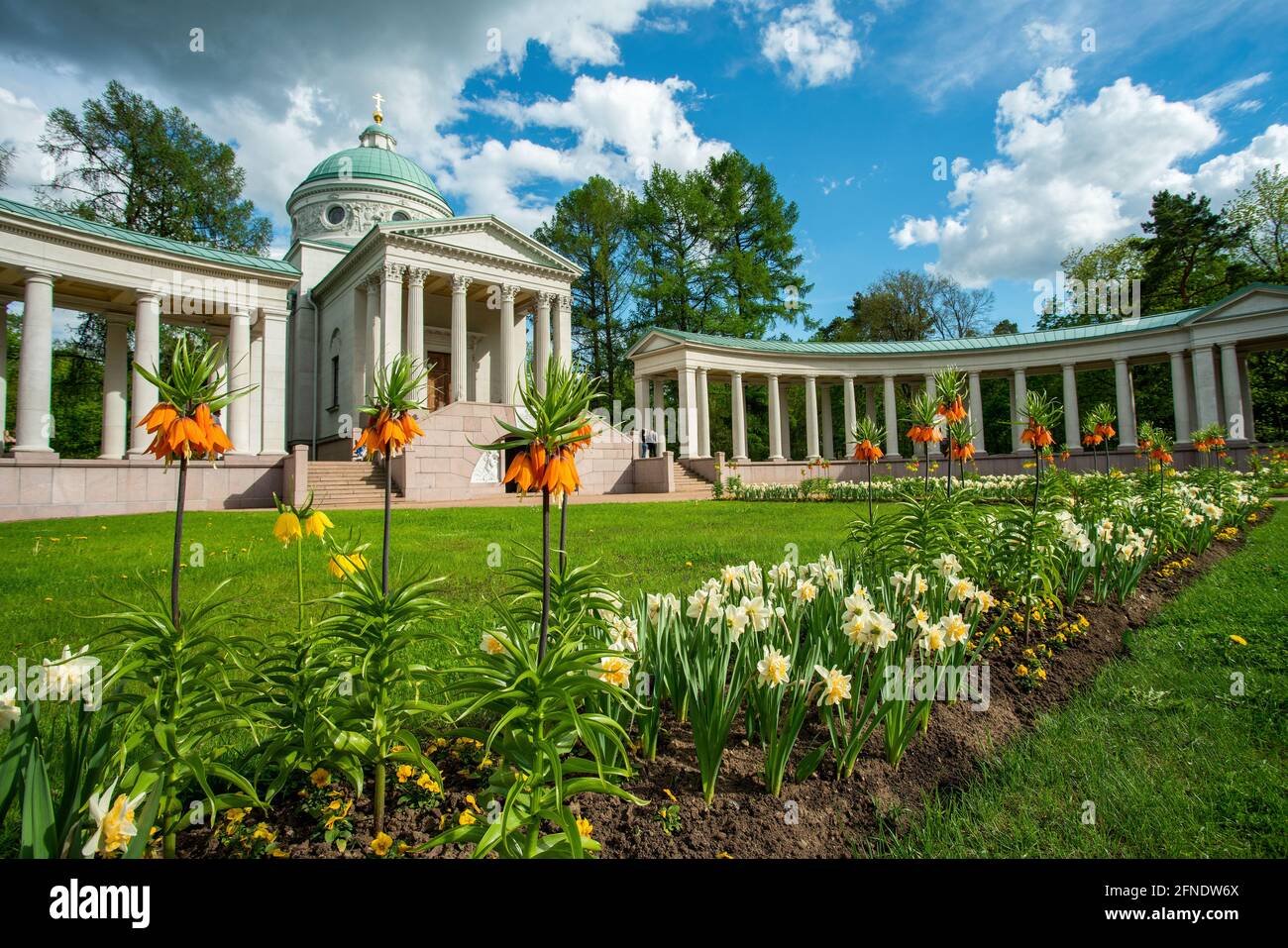 Colonnade in Arkhangelskoye and a bed of hazel grouses and daffodils near Moscow - an idyllic May in the Moscow region. Stock Photo
