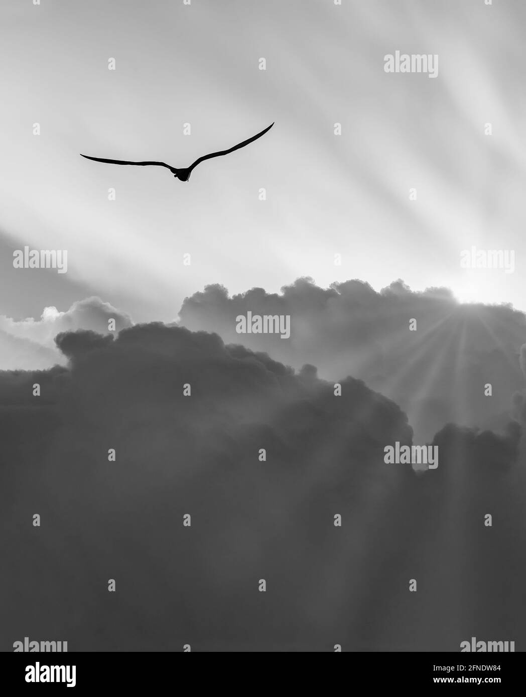 Concept images of heaven Black and White Stock Photos & Images - Alamy