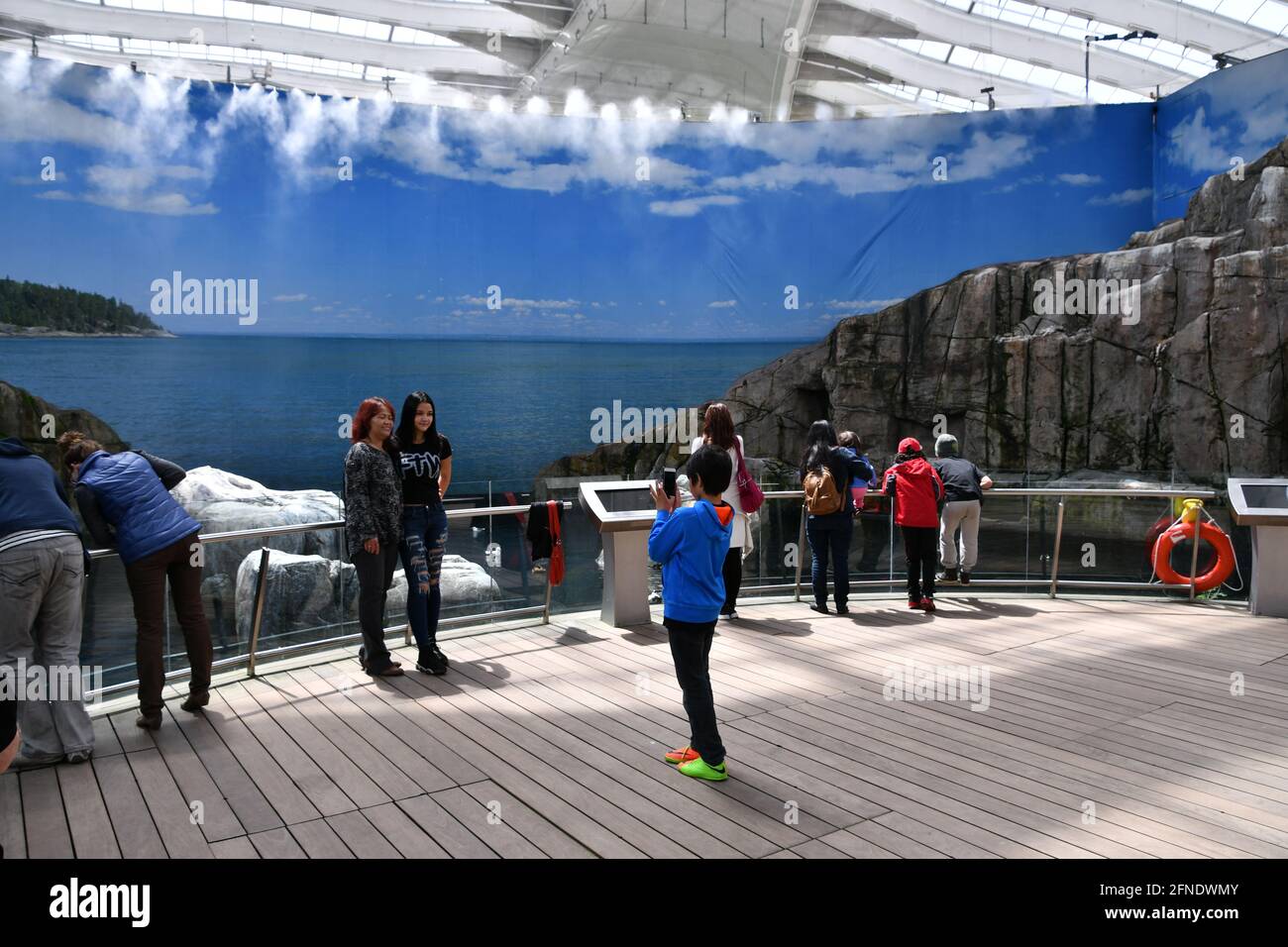 Visitors watching wildlife in the aquarium in Montreal Biodôme, Montreal, Québec, Canada Stock