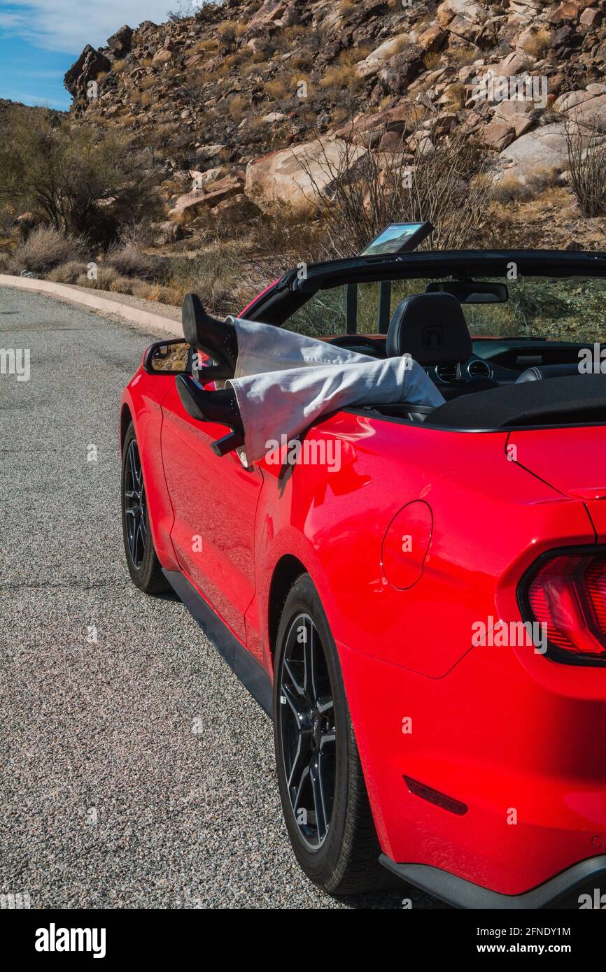 Mustang shoes 2025 legsar