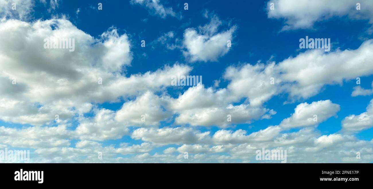 bright clear blue sky and contrasting white cumulous puffy clouds distance perspective Stock Photo
