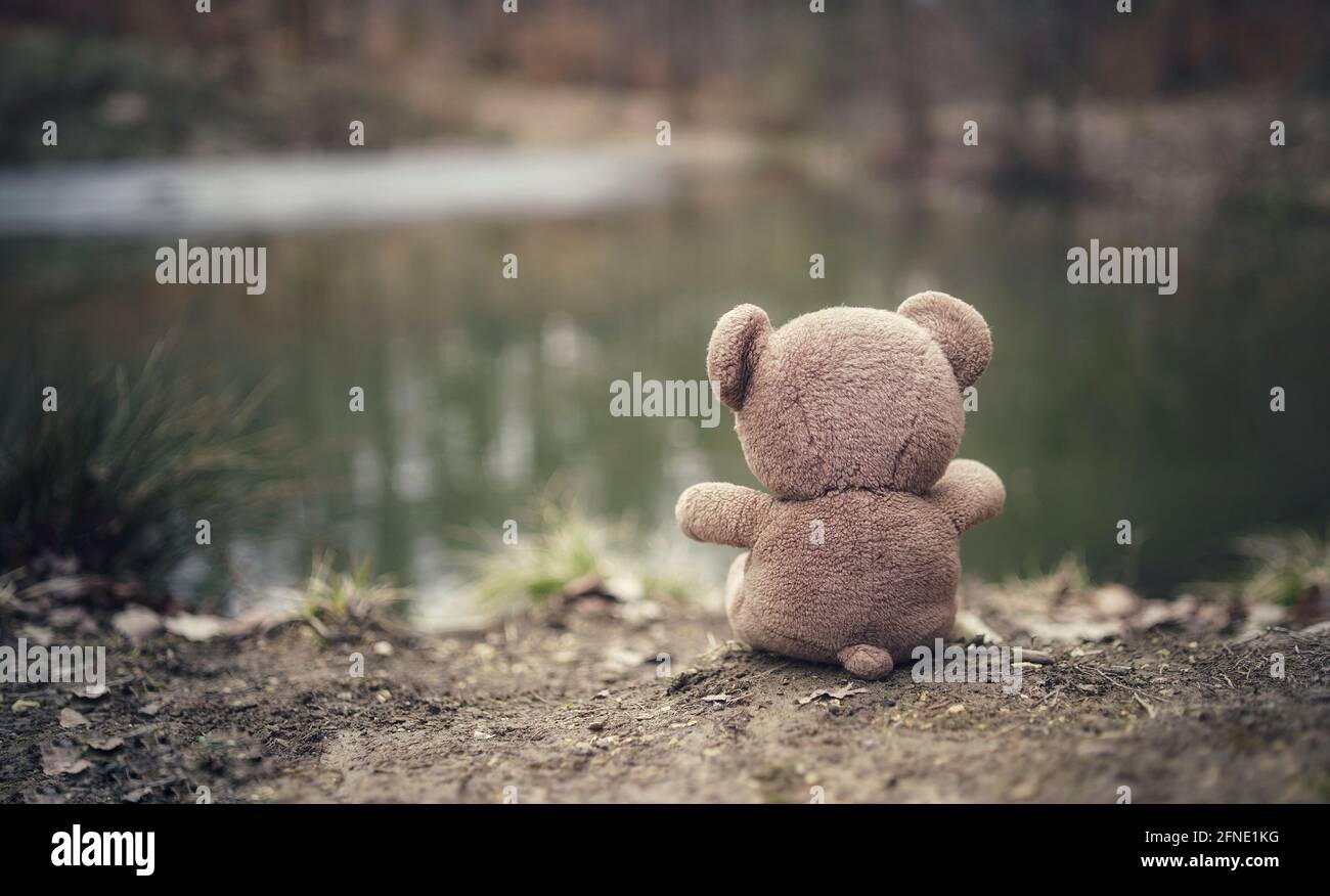 Teddy bear sitting on the ground next to a lake Stock Photo - Alamy