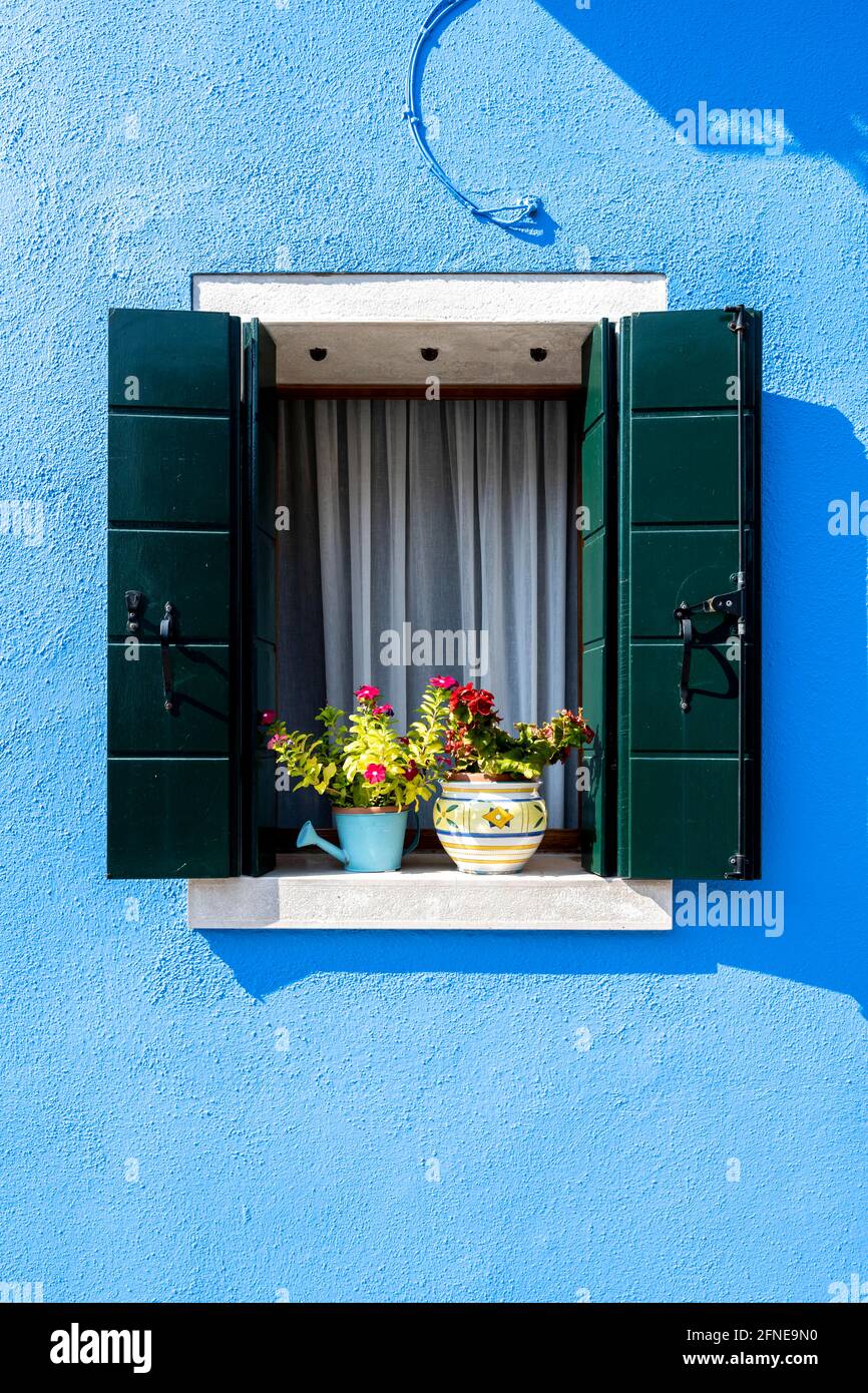 Blue house wall with window and flower decoration, colorful houses, colorful facade, Burano Island, Venice, Veneto, Italy Stock Photo