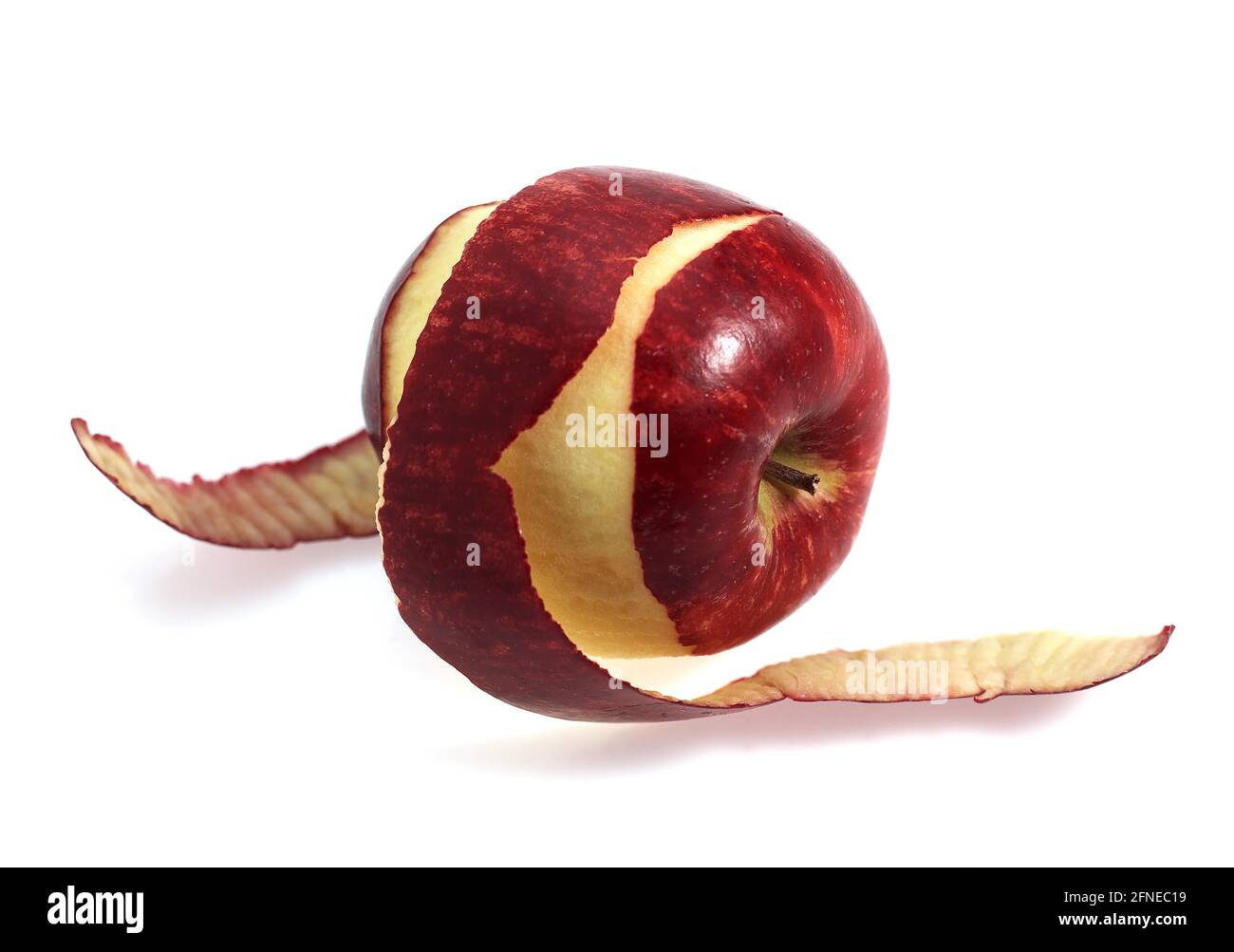 Malus domestica, cultivated apple, apple, apples, rose family, royal