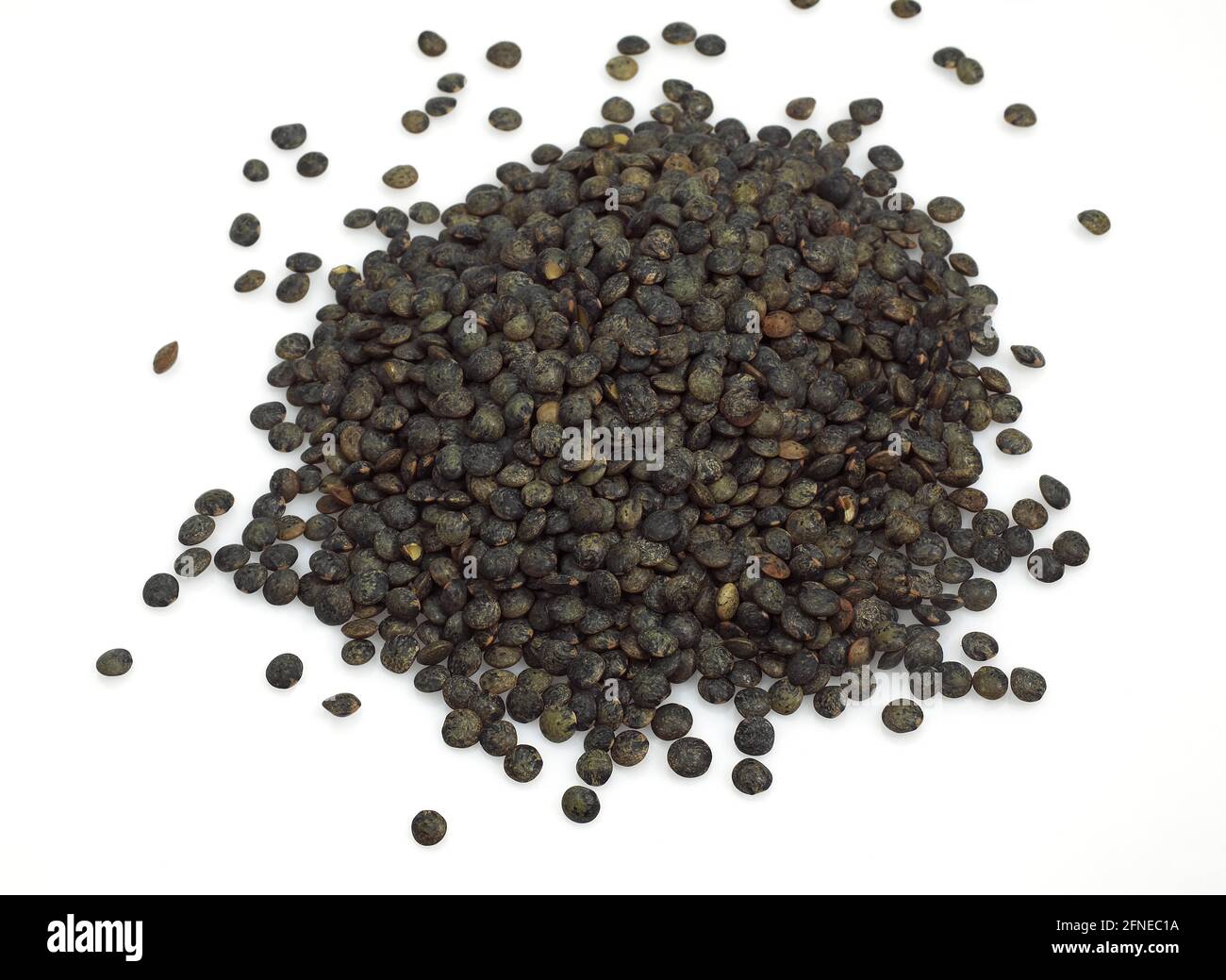 French lentils as green puy lentils, lentils esculenta against white background Stock Photo