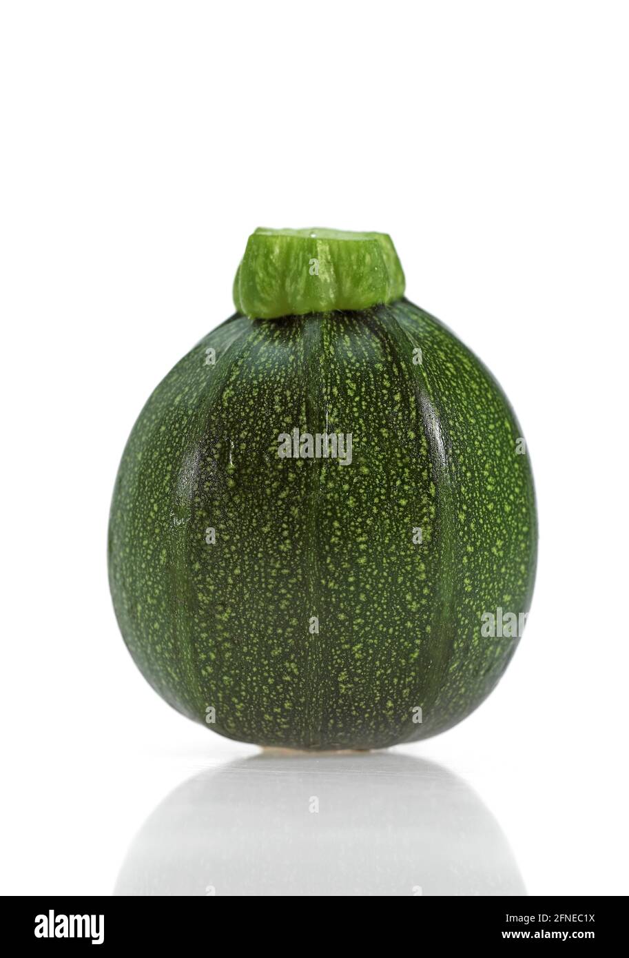 Round zucchini or courgettes, vegetables against white background Stock