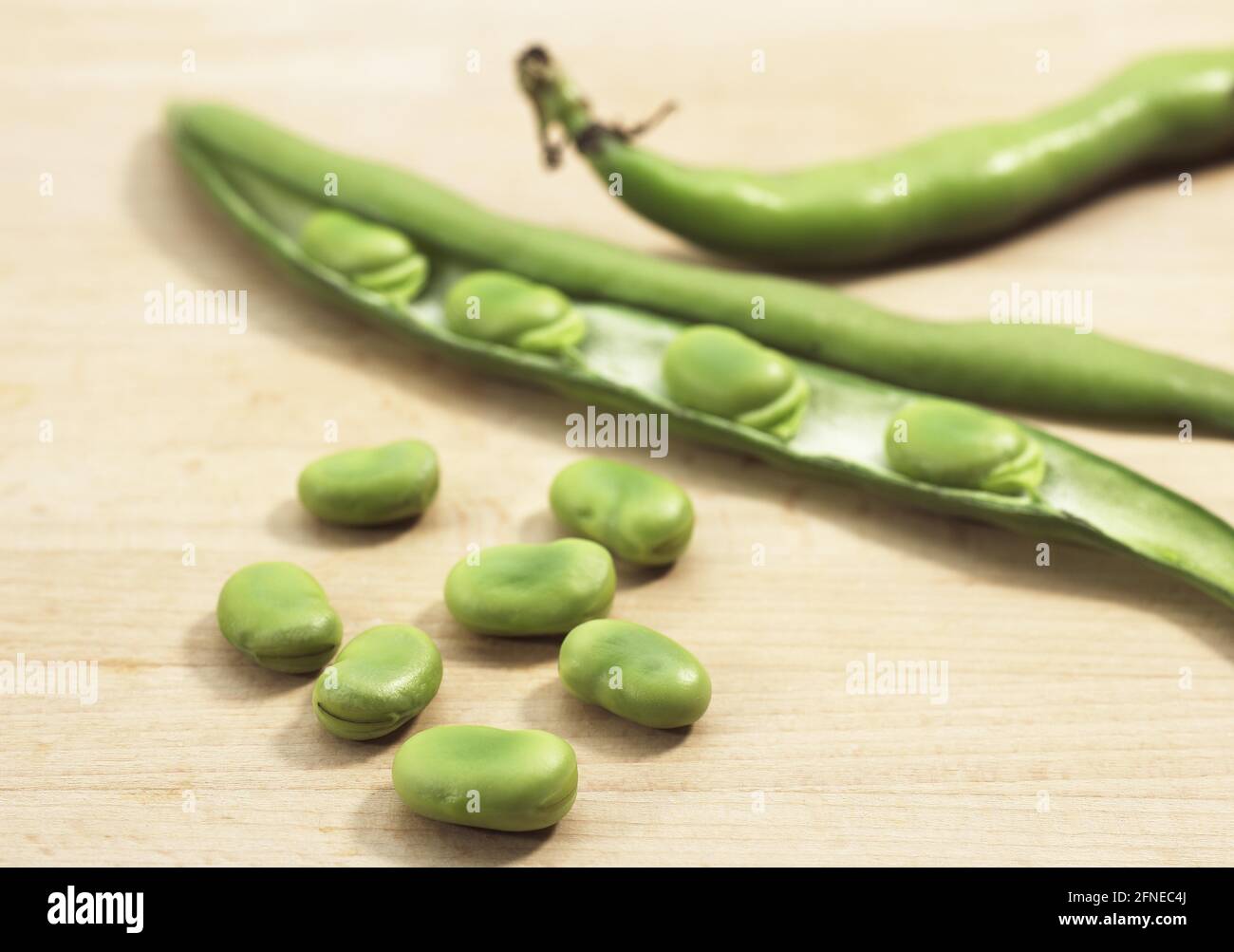 Fava bean, Field bean, Broad bean, Horse bean, Broad bean, Butterfly
