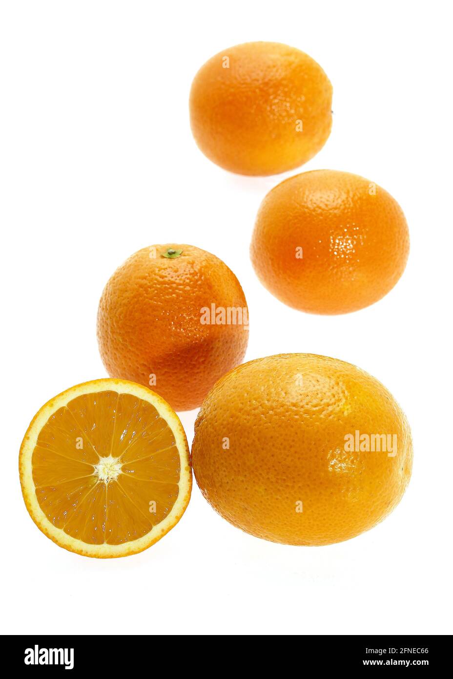 Citrus sinensis, orange, orange tree (Citrus sinensis), orange tree, orange, rue family, ORANGES citrus sinensis against white background, orange Stock Photo