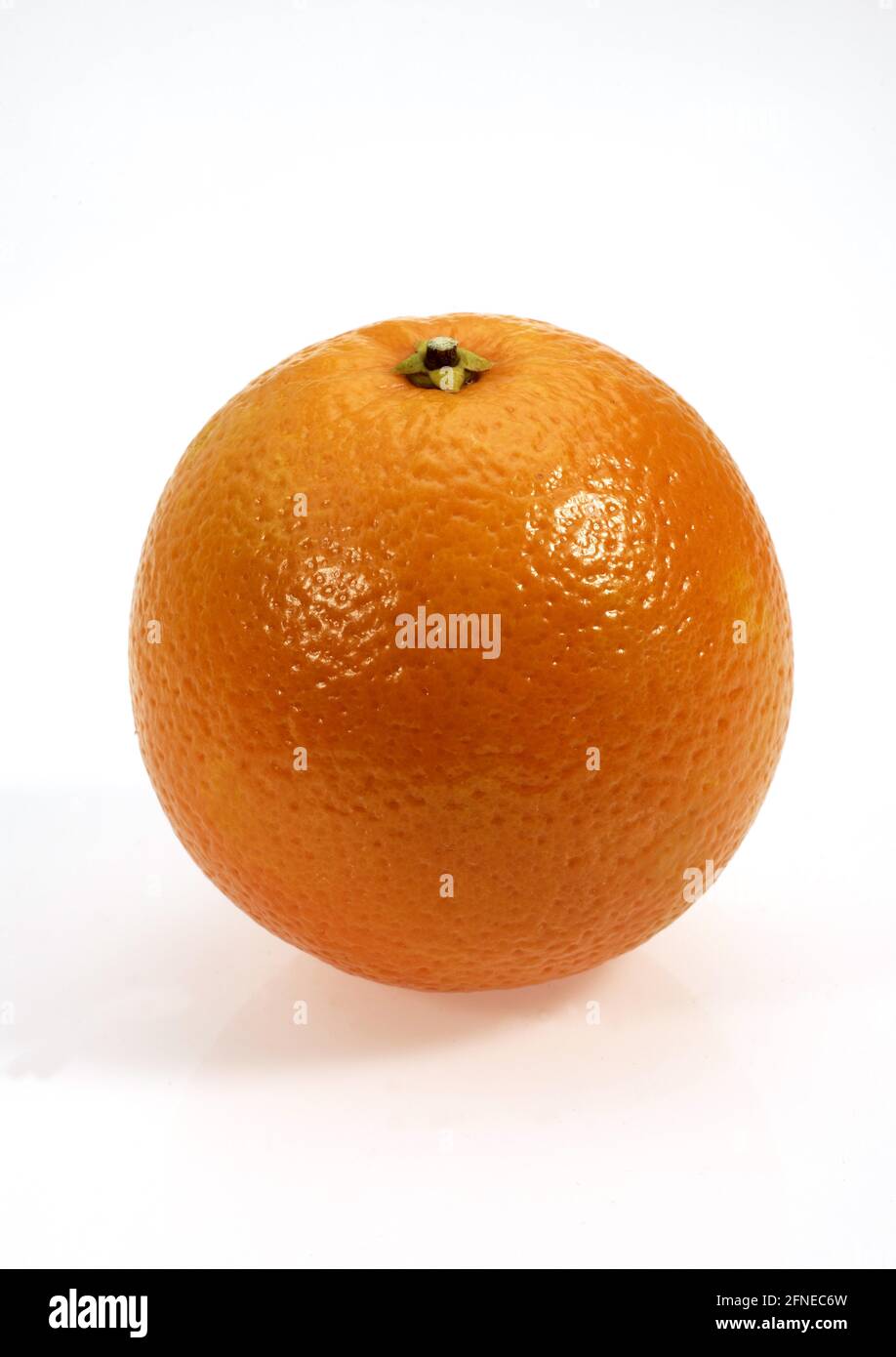 Citrus sinensis, orange, orange tree (Citrus sinensis), orange tree, orange, rue family, citrus sinensis against white background, orange, orange Stock Photo