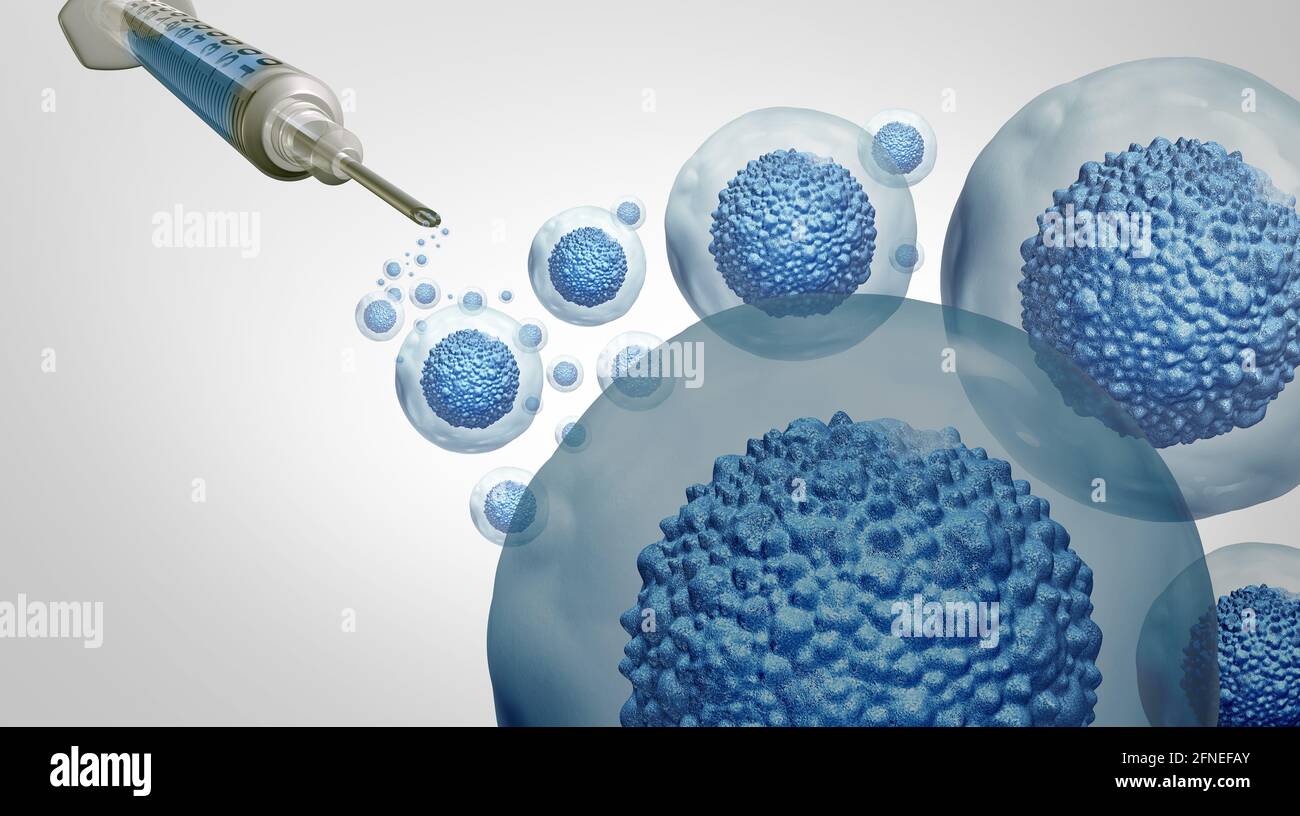Stem cells therapy or cell treatment and biology as a multicellular embryonic concept or adult organism as a symbol for cellular therapies. Stock Photo