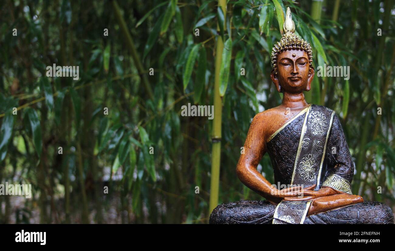 Outdoor Buddha Statue in rain with bamboo background Stock Photo - Alamy
