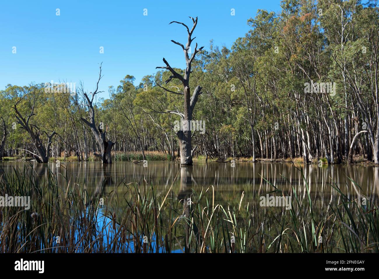 Gogeldrie Weir Scene, near Leeton in New South Wales, Australia Stock Photo