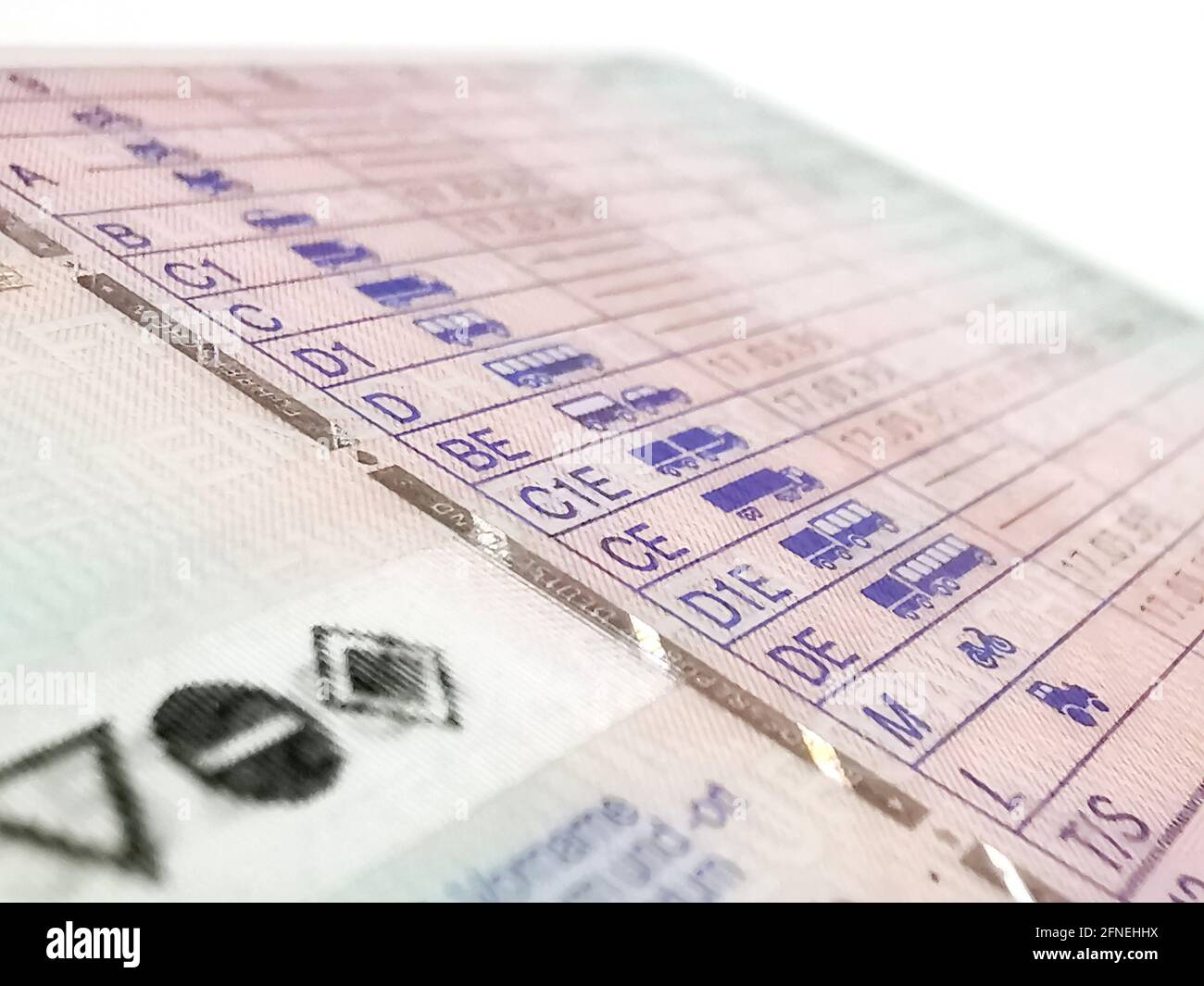 Close up of a German driver's license Stock Photo