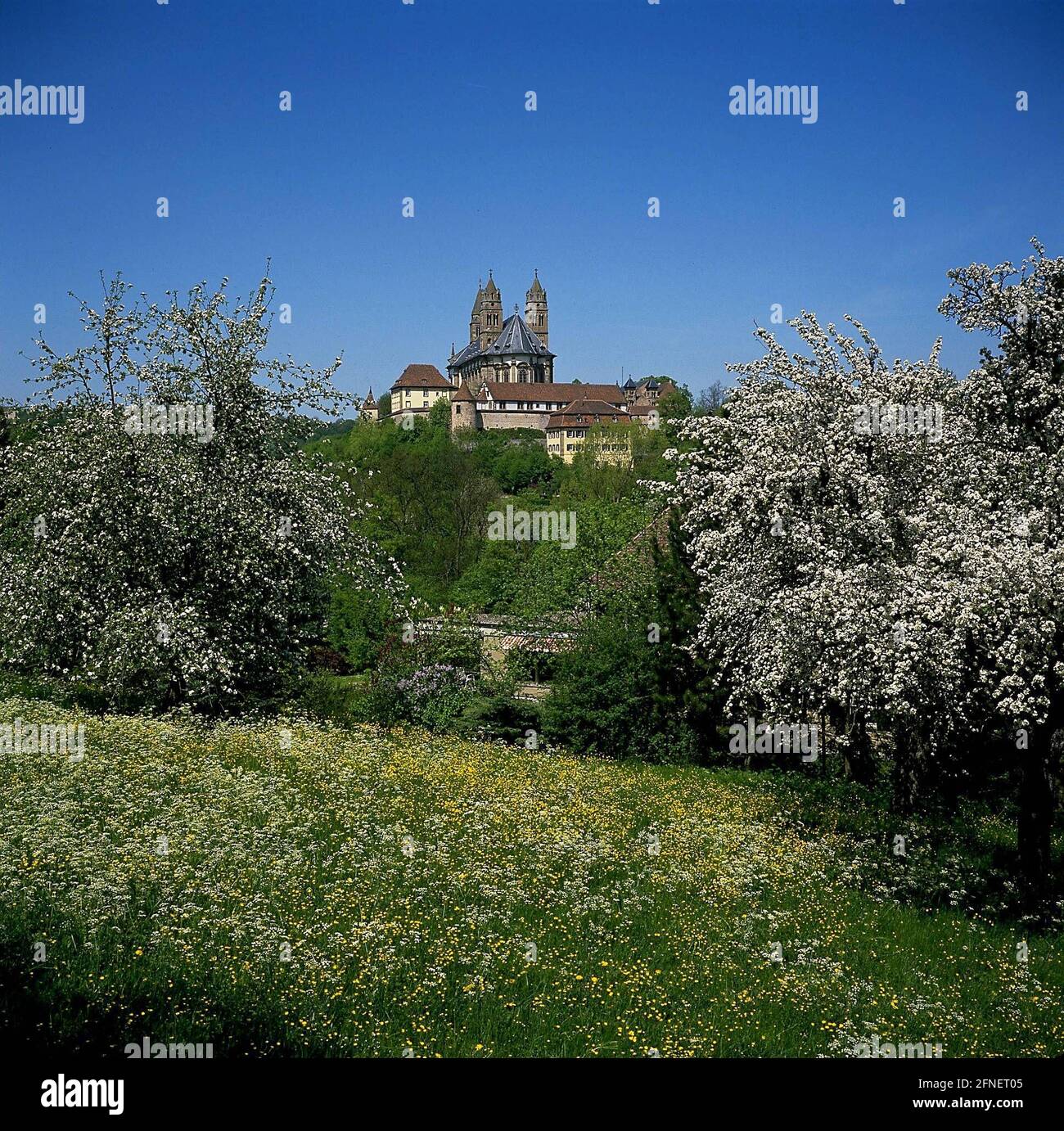 Spring landscape with the 12th century Groß-Comburg, a former ...