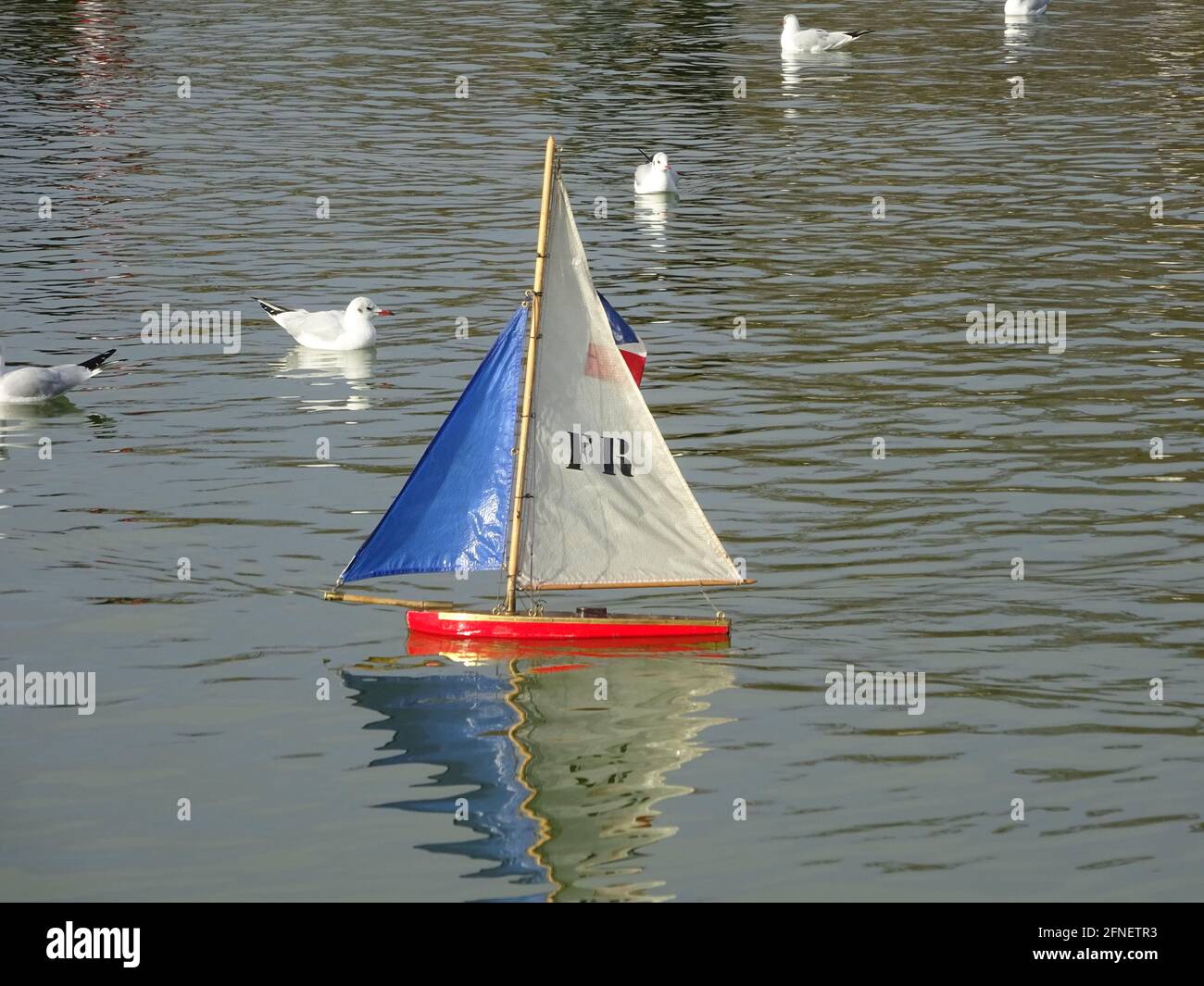 Toy Boat Photos and Premium, DSLR Stock Photo
