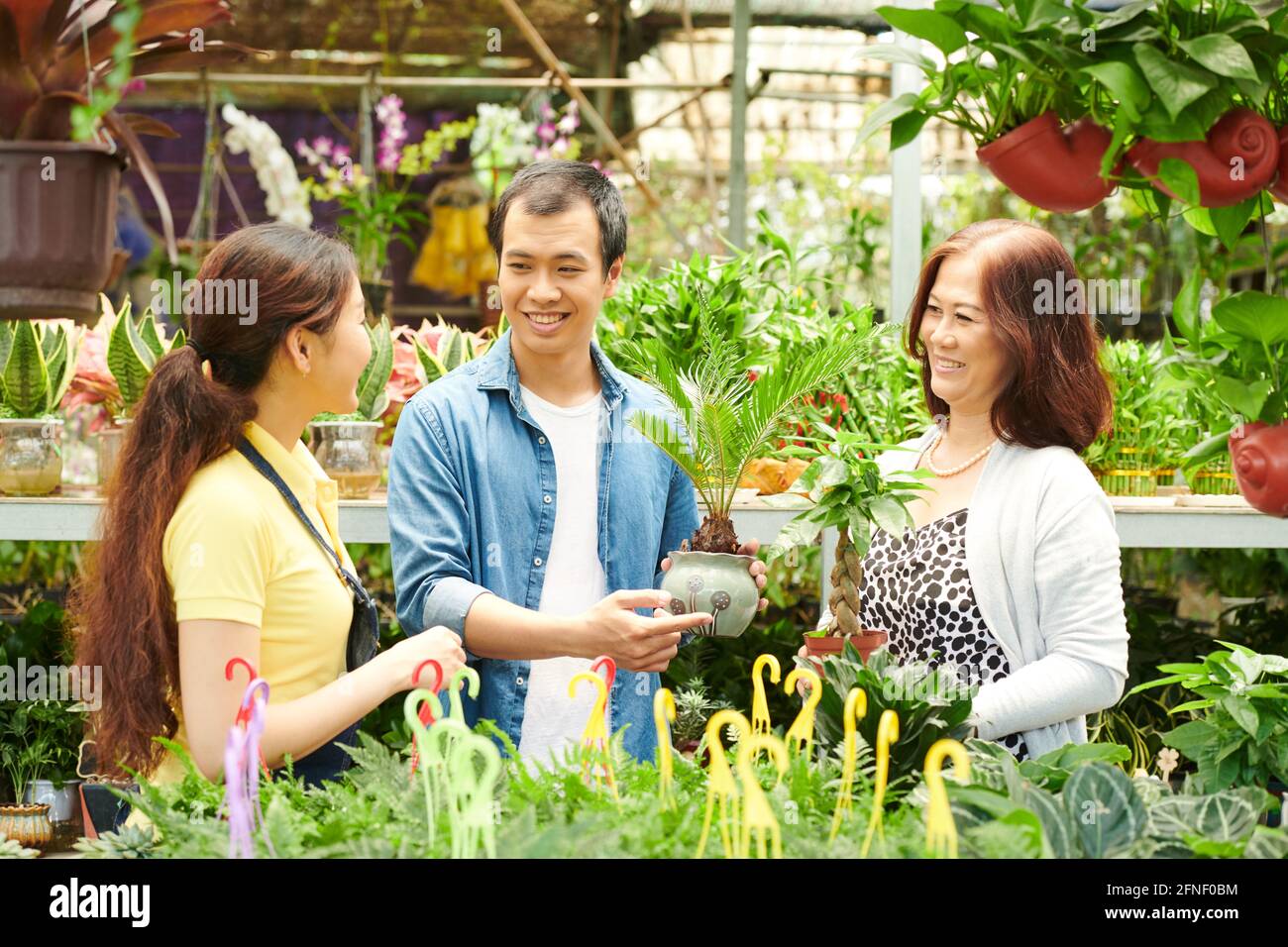 Gardening center worker asking customerd if they need help with choosing cycas plant Stock Photo