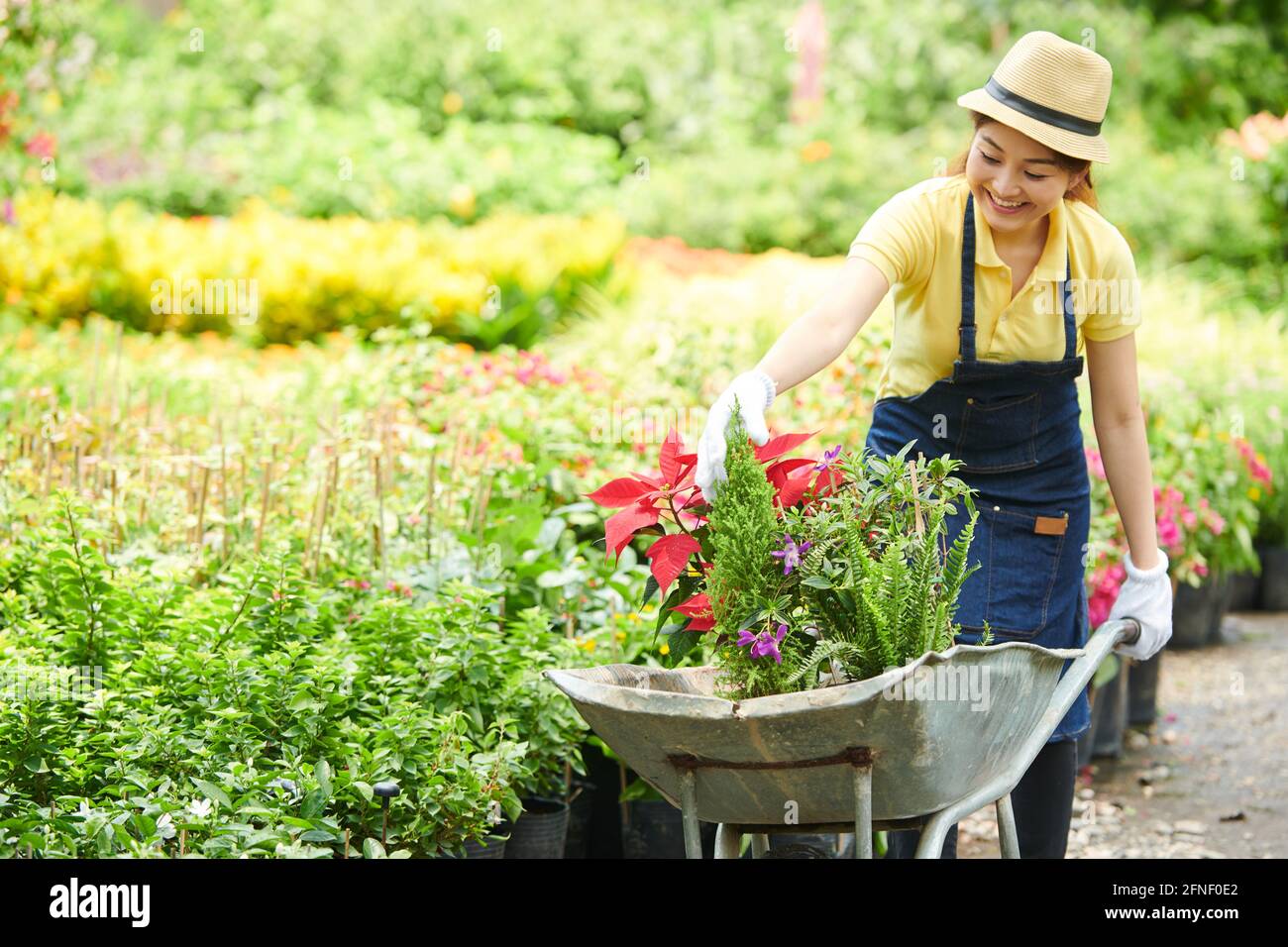 Smiling young plant nursery worker pushing wheelbarrow full of plants