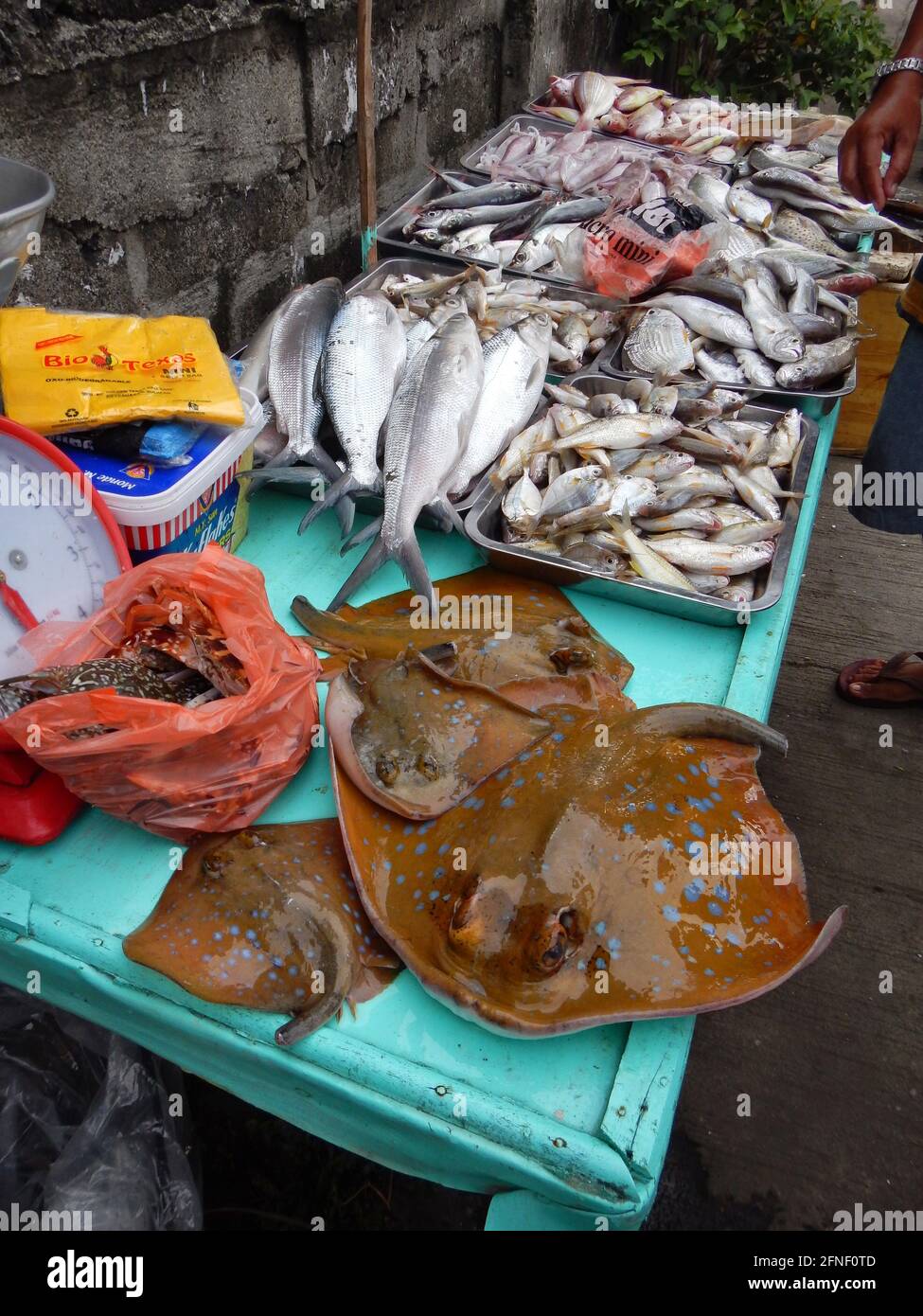Various assorted fish on a market stall in Bacolod, Philippines Stock