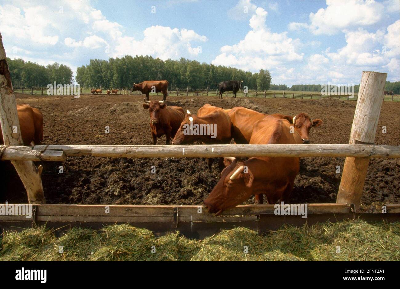 German Ruland Ruland hi-res stock photography and images - Alamy