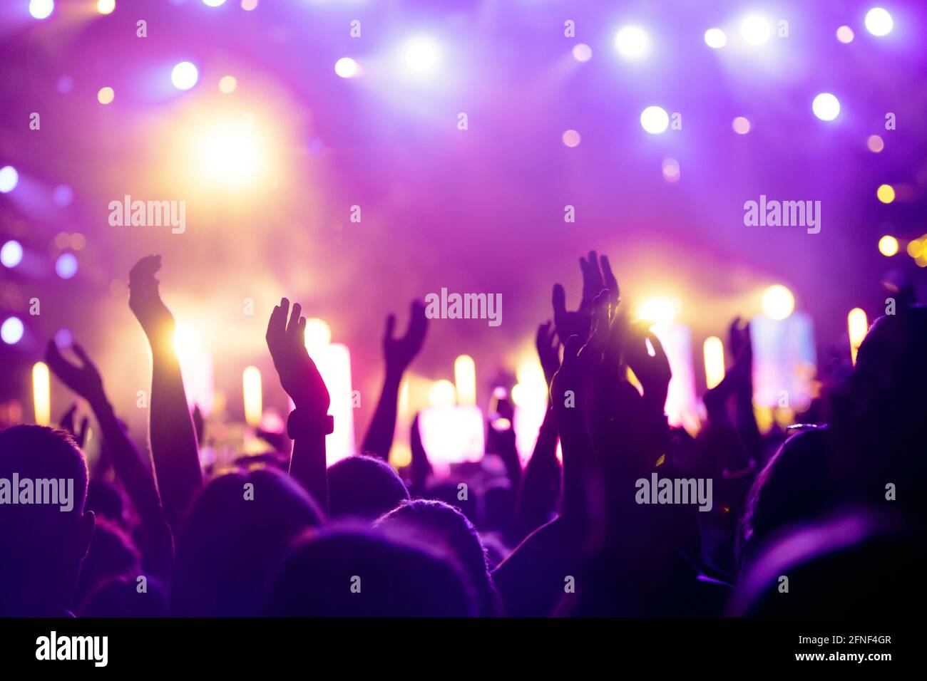 Cheering crowd with hands in air at music festival Stock Photo Alamy