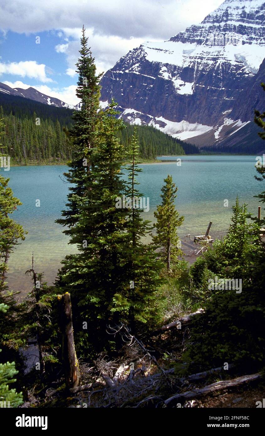 Icefields Parkway in Jasper National Park (State of Alberta