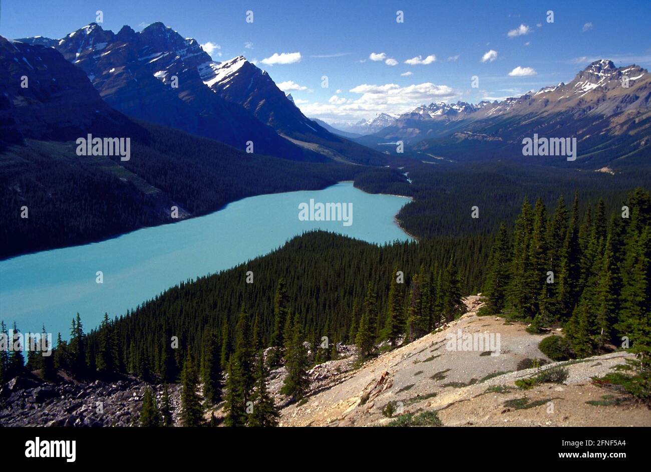 Peyto Lake in the Canadian state of Alberta seen from Bow Summit ...