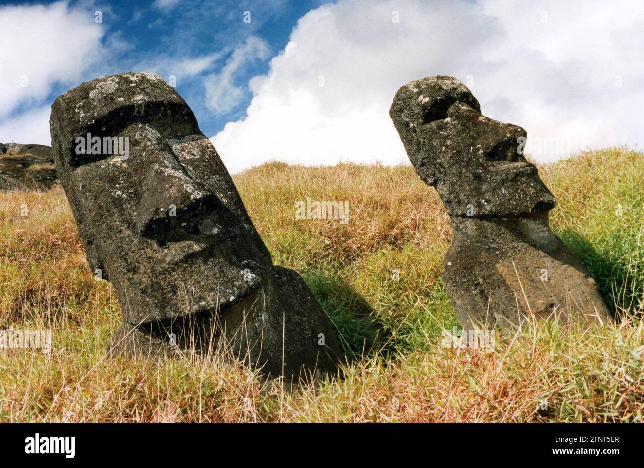 The enigmatic stone figures (Moai) of the Easter Islands. [automated