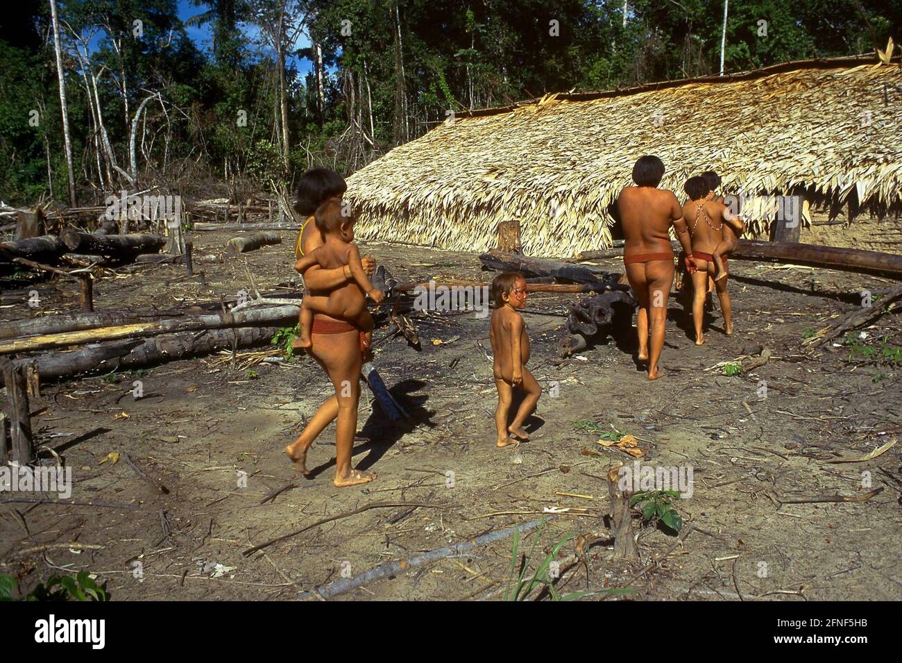 Yanomami tribe tits Zo'é