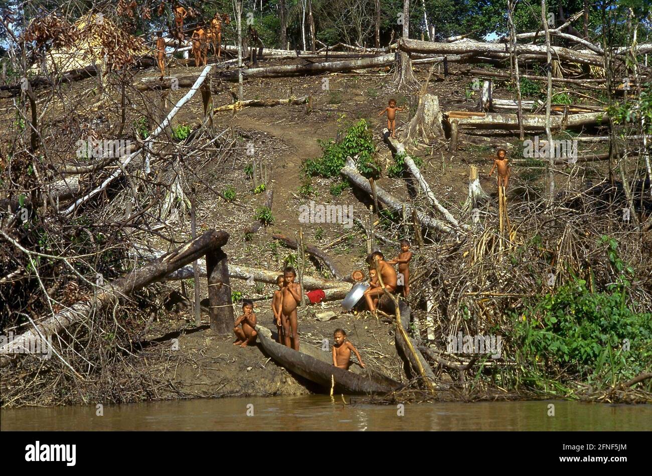 Yanomami tribesmen wait on the riverbank for the photographer to arrive. [automated translation] Stock Photo