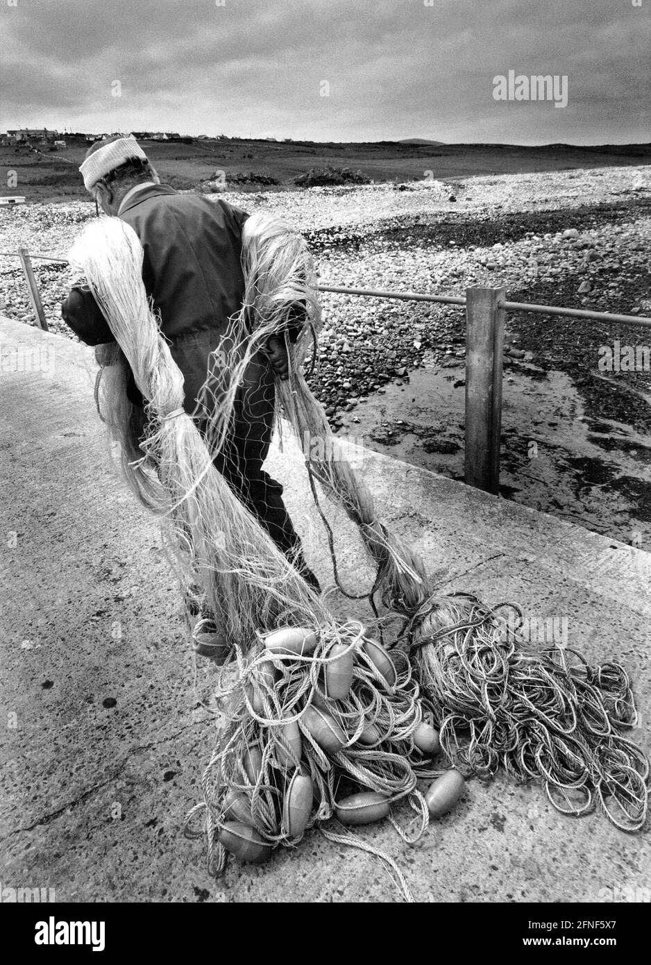 Fisherman Scoops Fish Net Stock Photo 123256933