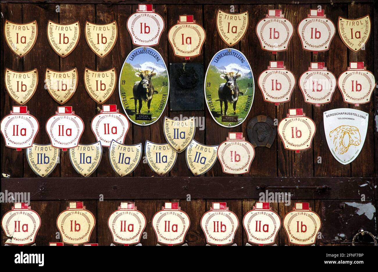 Cow badges from Tyrol. [automated translation] Stock Photo - Alamy