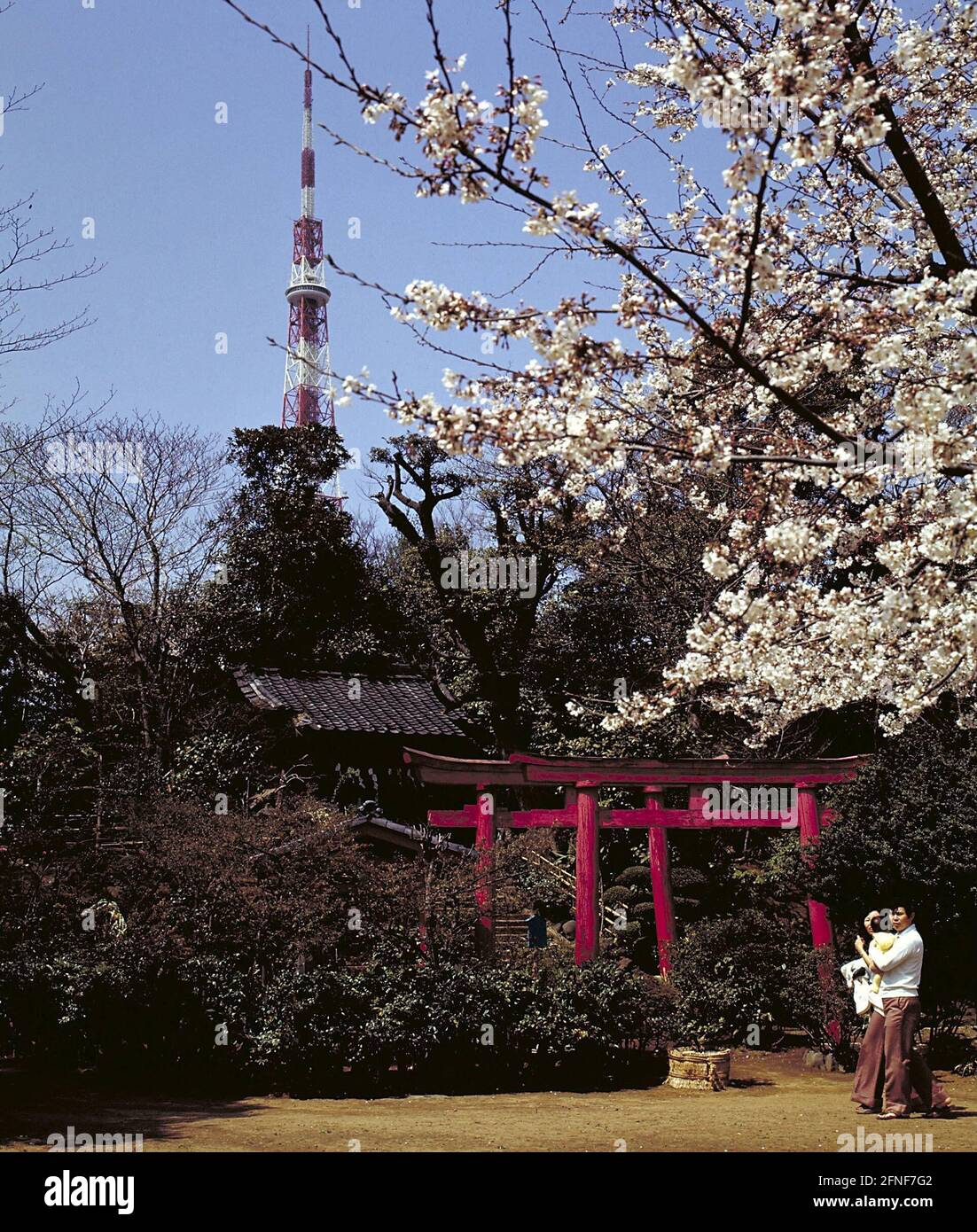 Spring in a small park near Tokyo Tower. [automated translation] Stock ...
