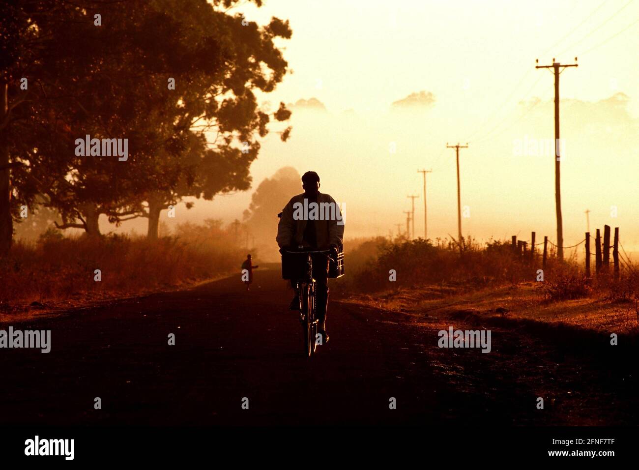 Cyclists on Mount Elgon near Kitale in western Kenya. [automated translation] Stock Photo