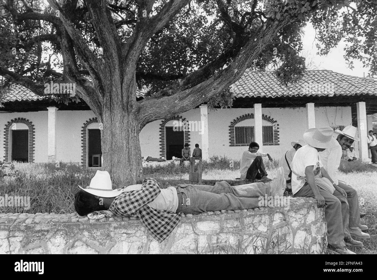 During a land occupation in the highlands of Chiapas. Campesino families (desplazados) evicted from the land occupy a finca and are taking a siesta. [automated translation] Stock Photo