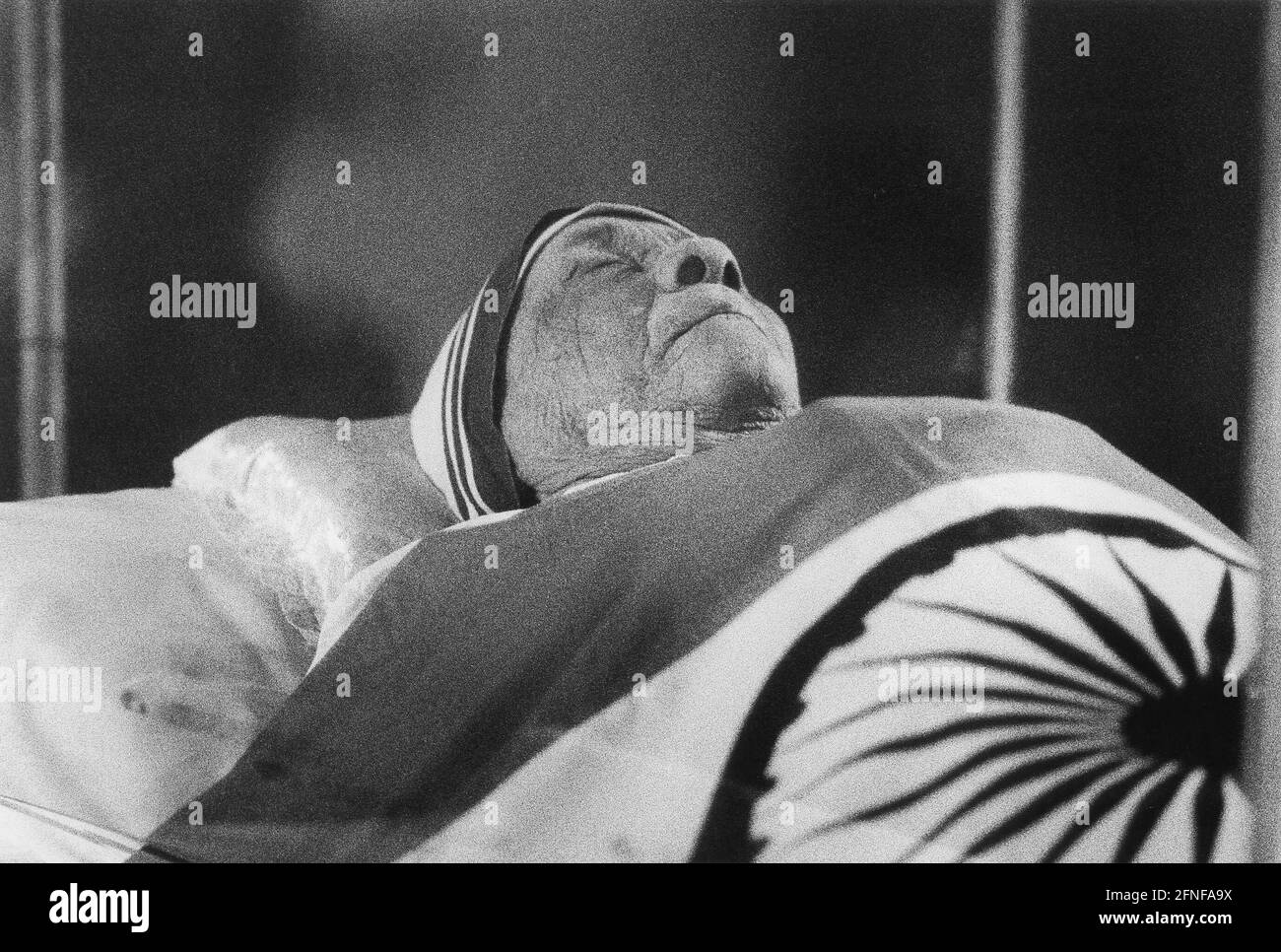 Date of photograph: 12.09.1997 Mother Teresa, laid out in the St. Thomas Church in Calcutta. [automated translation] Stock Photo