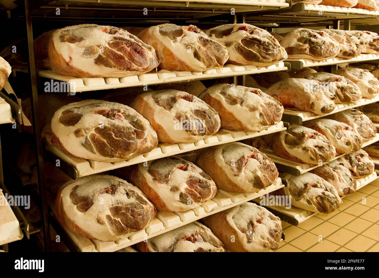 Europe, Italy, Bergamo. IBS sausage factory in Azzano S. Paul produces hams  Ca del Botto in the Ardesio factory in Val Seriana. The seasoning is flavo  Stock Photo - Alamy, image size:1300x954