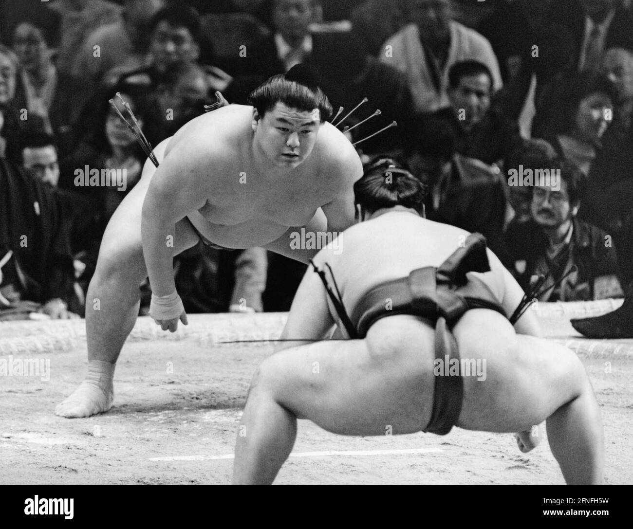 Two sumo wrestlers just before the start of a match in Osaka. Spectators in the background. [automated translation] Stock Photo