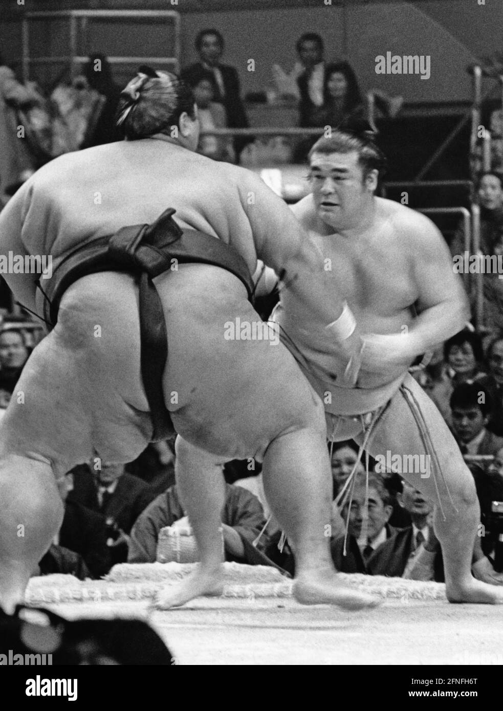Two sumo wrestlers shortly after the start of a match. Spectators in the background. [automated translation] Stock Photo