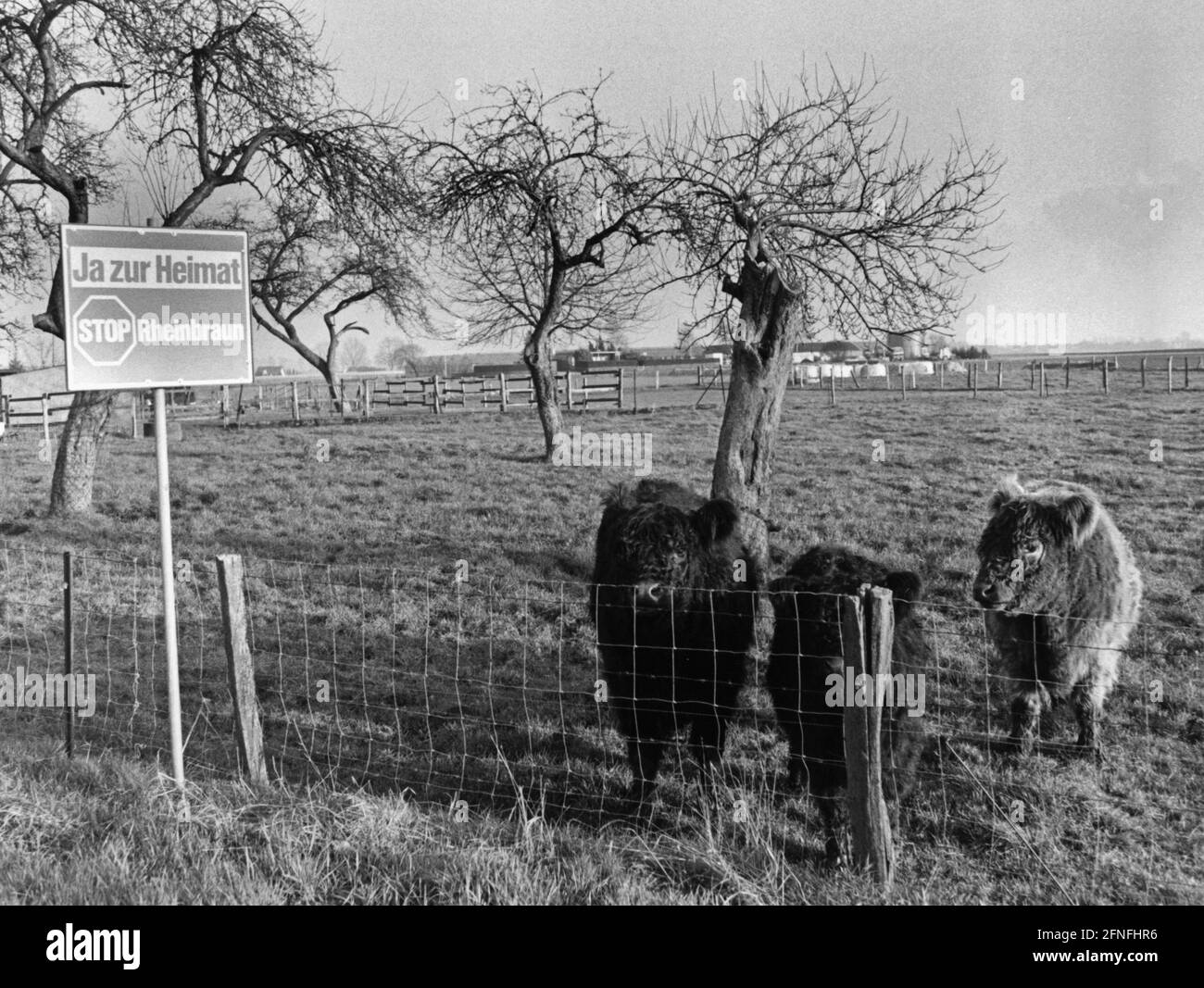 'A sign reading ''Yes to the homeland. Stop Rheinbraun'' at a pasture in March 1995. It is part of a protest movement by environmental associations and the local population, which is threatened with expropriation in favor of opencast mining. [automated translation]' Stock Photo