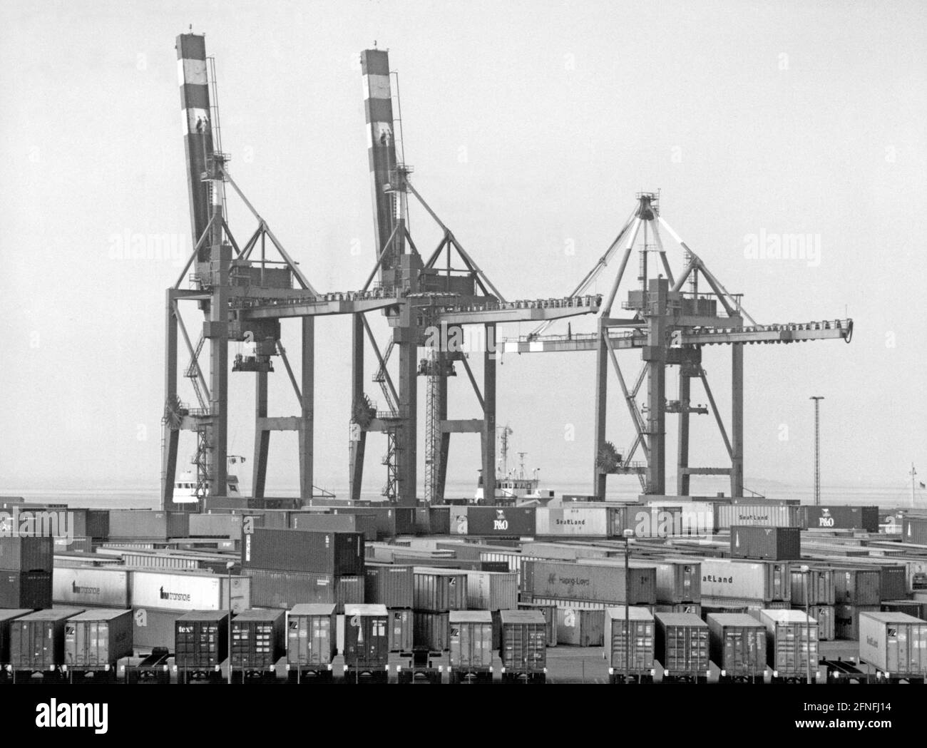 Cranes of the container terminal in Bremerhaven. [automated translation] Stock Photo