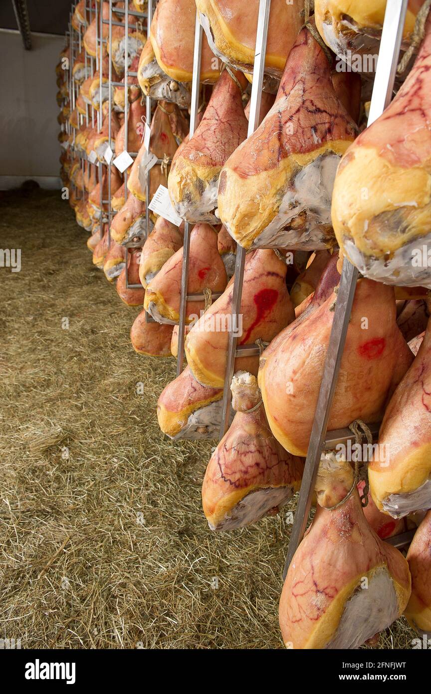 Europe, Italy, Bergamo. IBS sausage factory in Azzano S. Paul produces hams  Ca del Botto in the Ardesio factory in Val Seriana. The seasoning is flavo  Stock Photo - Alamy, image size:864x1390
