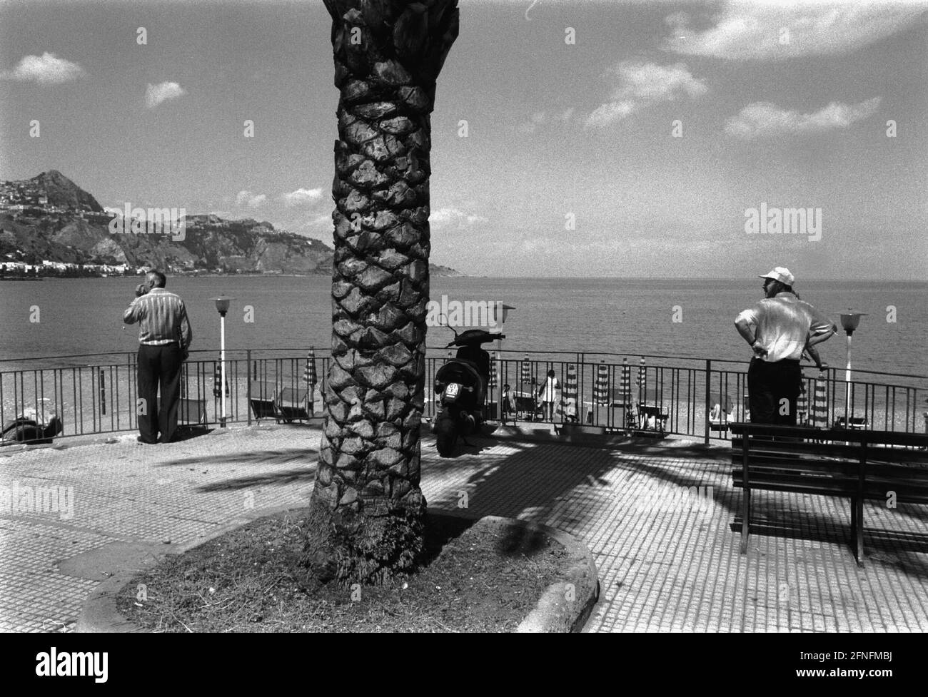 Palm tree on the promenade at the beach of Giardini Naxos, Italy, Sicily, 26.05.1999, [automated translation] Stock Photo