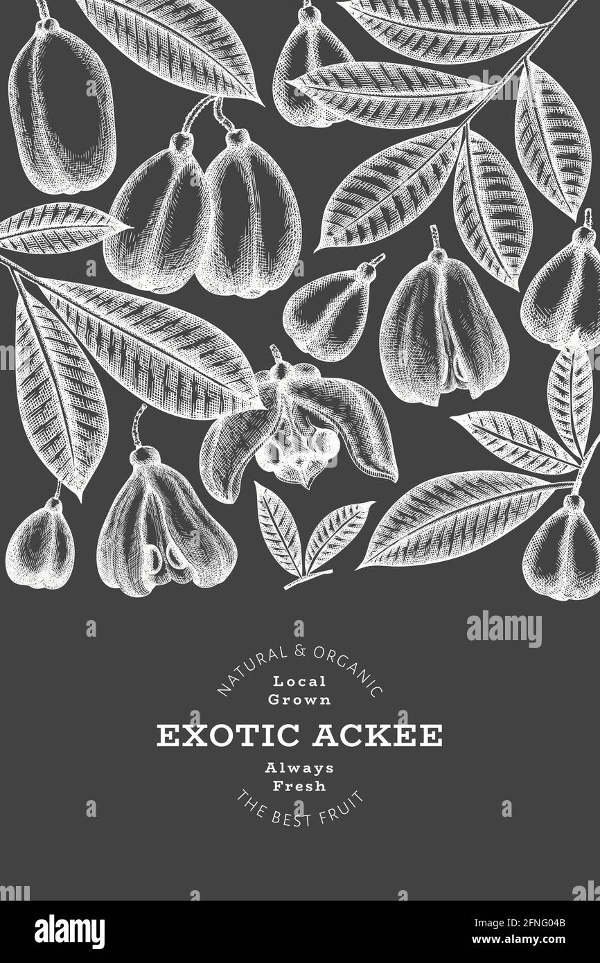 Ackee tree Stock Vector Images - Alamy