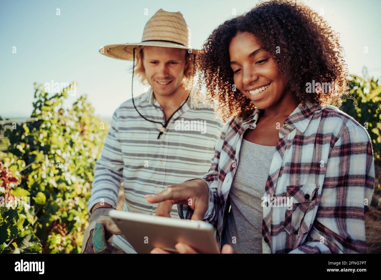 Diverse farmer couple working together on project standing in vineyards researching information on digital tablet  Stock Photo