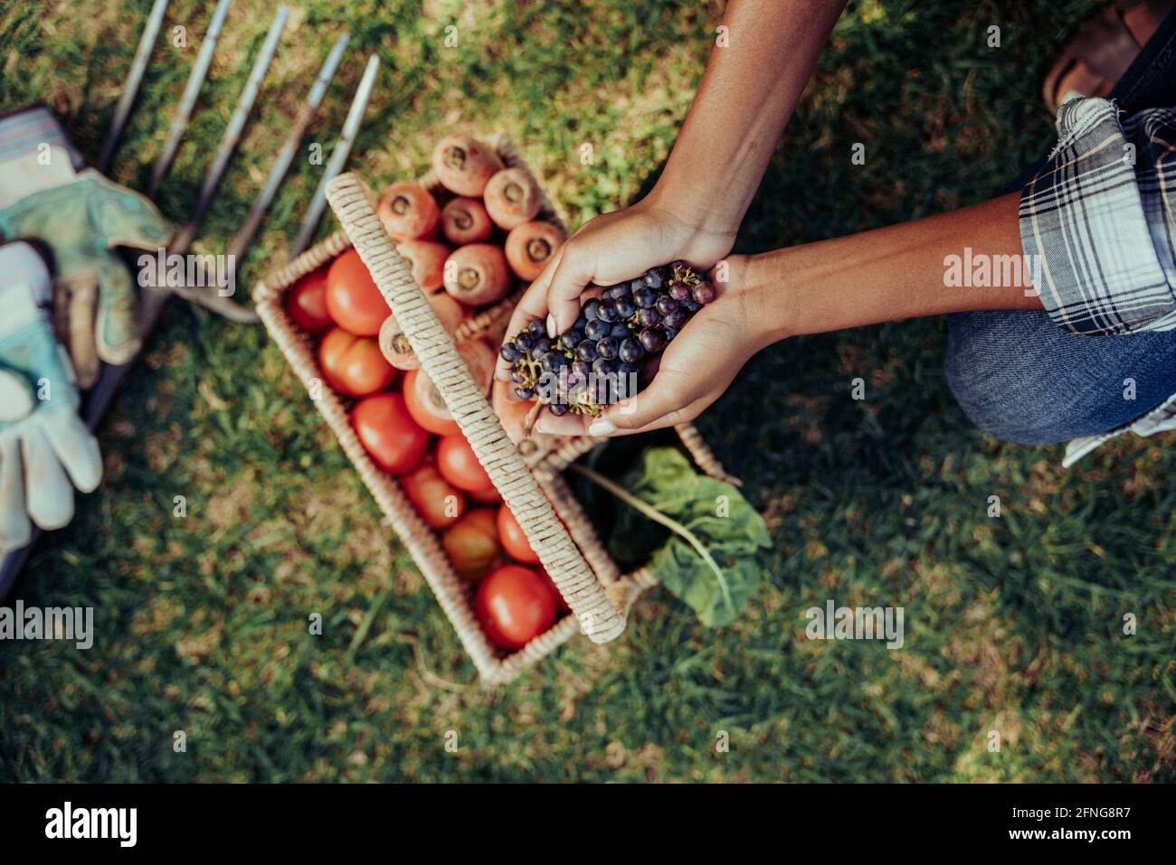 Mixed race female crouching down holding bunch of grapes in cupped hands above basket of fresh vegetables Stock Photo
