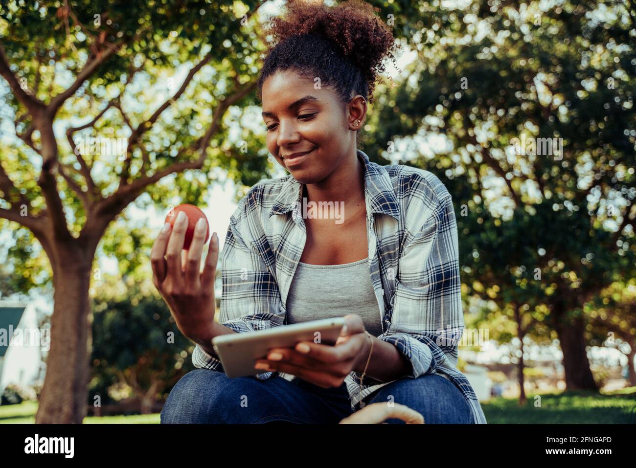 Mixed race female teen researching for project on digital tablet while holding fresh tomato  Stock Photo